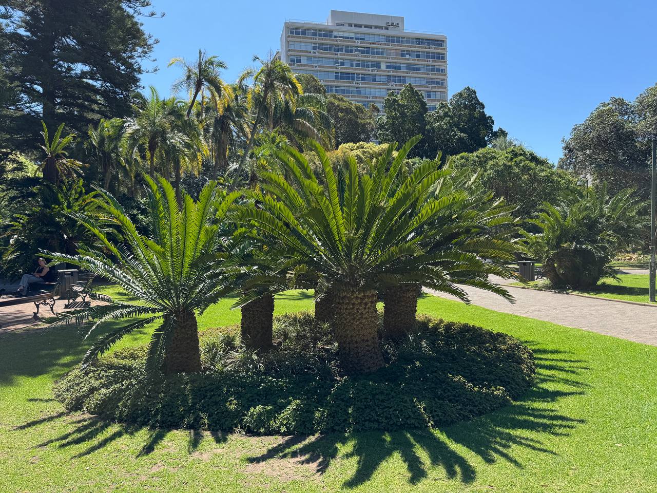 Юар: приключения на краю континента (5/35)