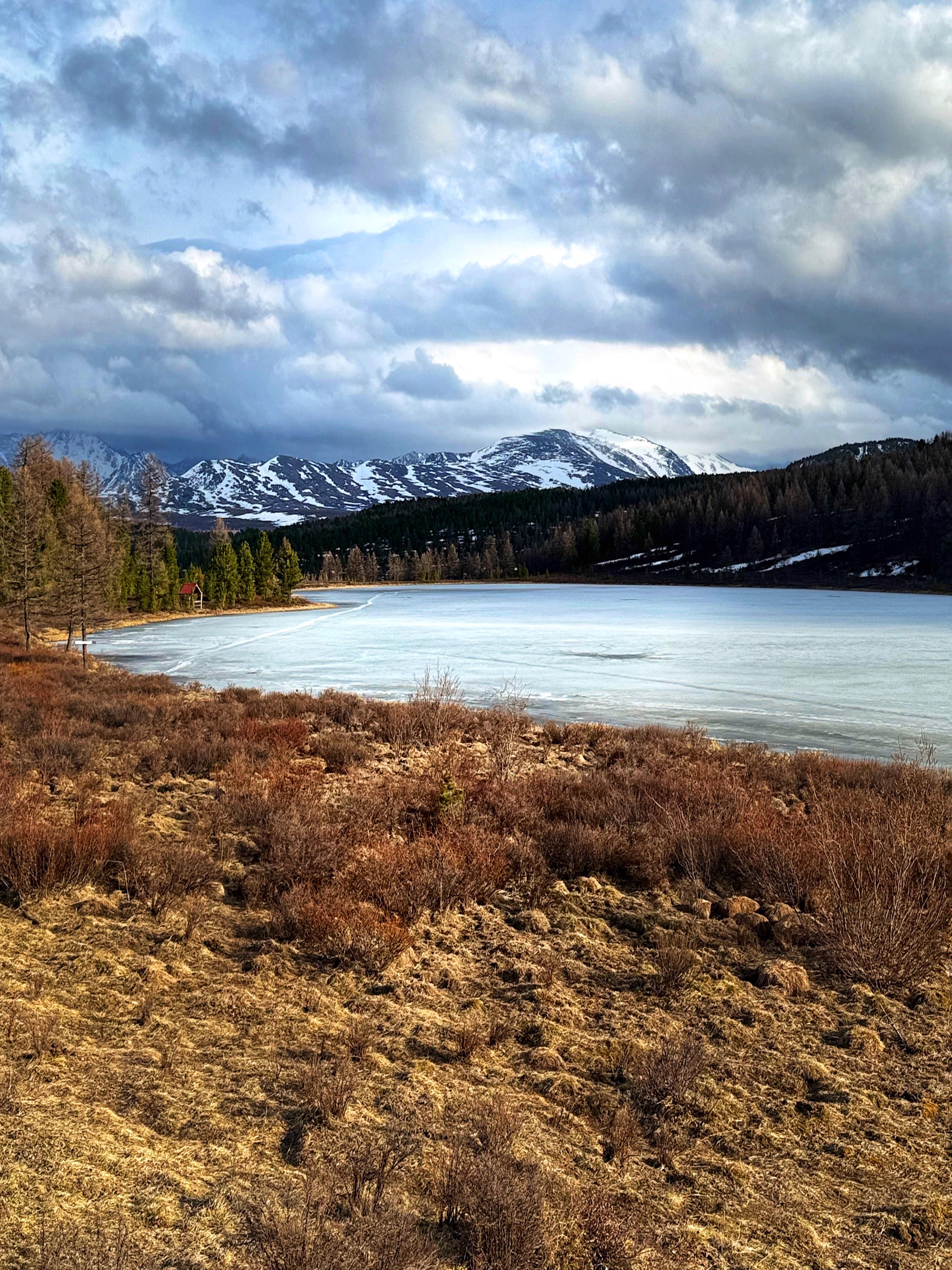 Весеннее волшебство Алтая. Все самое лучшее за 6 дней. (15/41)