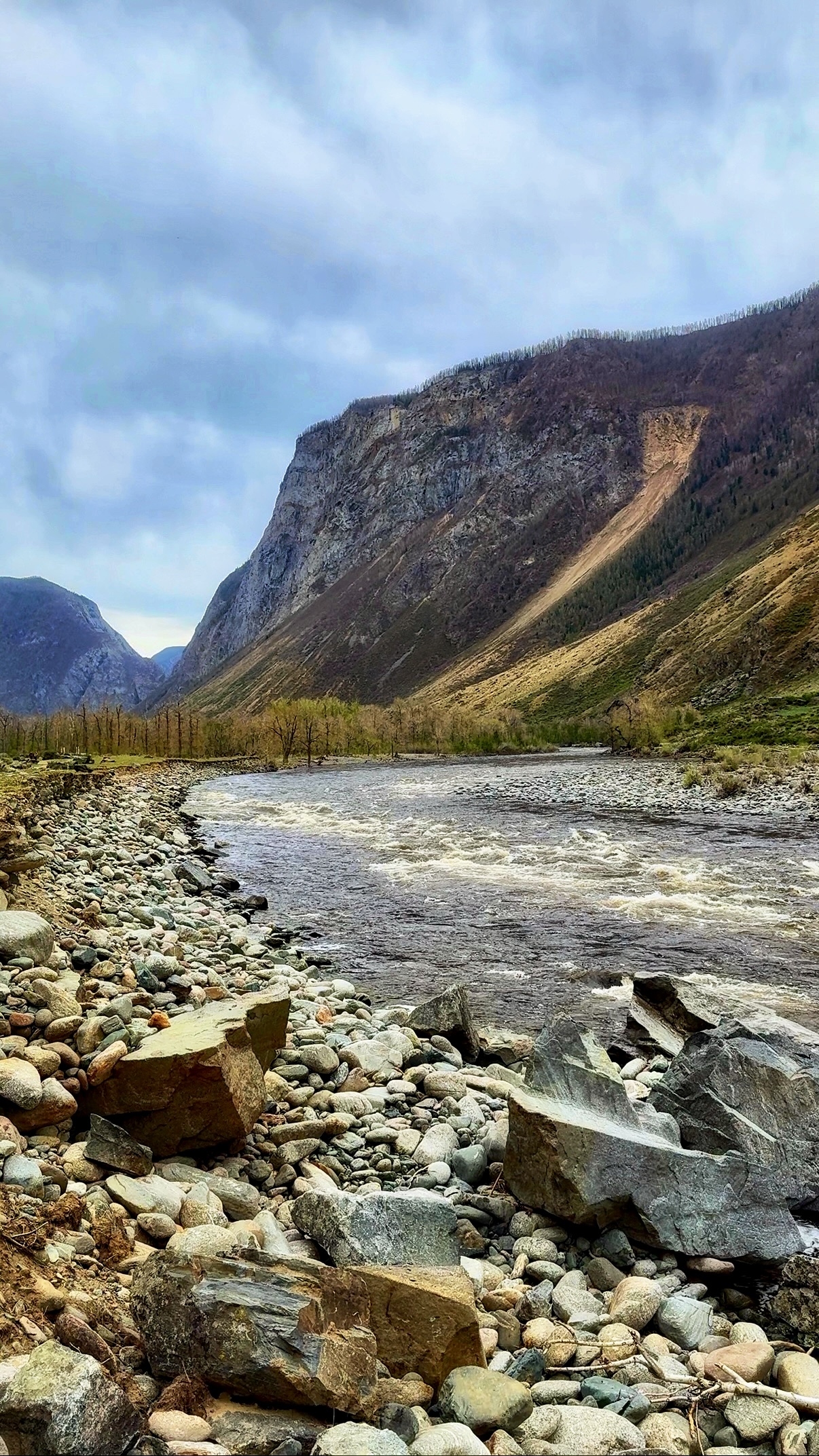 Весеннее волшебство Алтая. Все самое лучшее за 6 дней. (10/41)