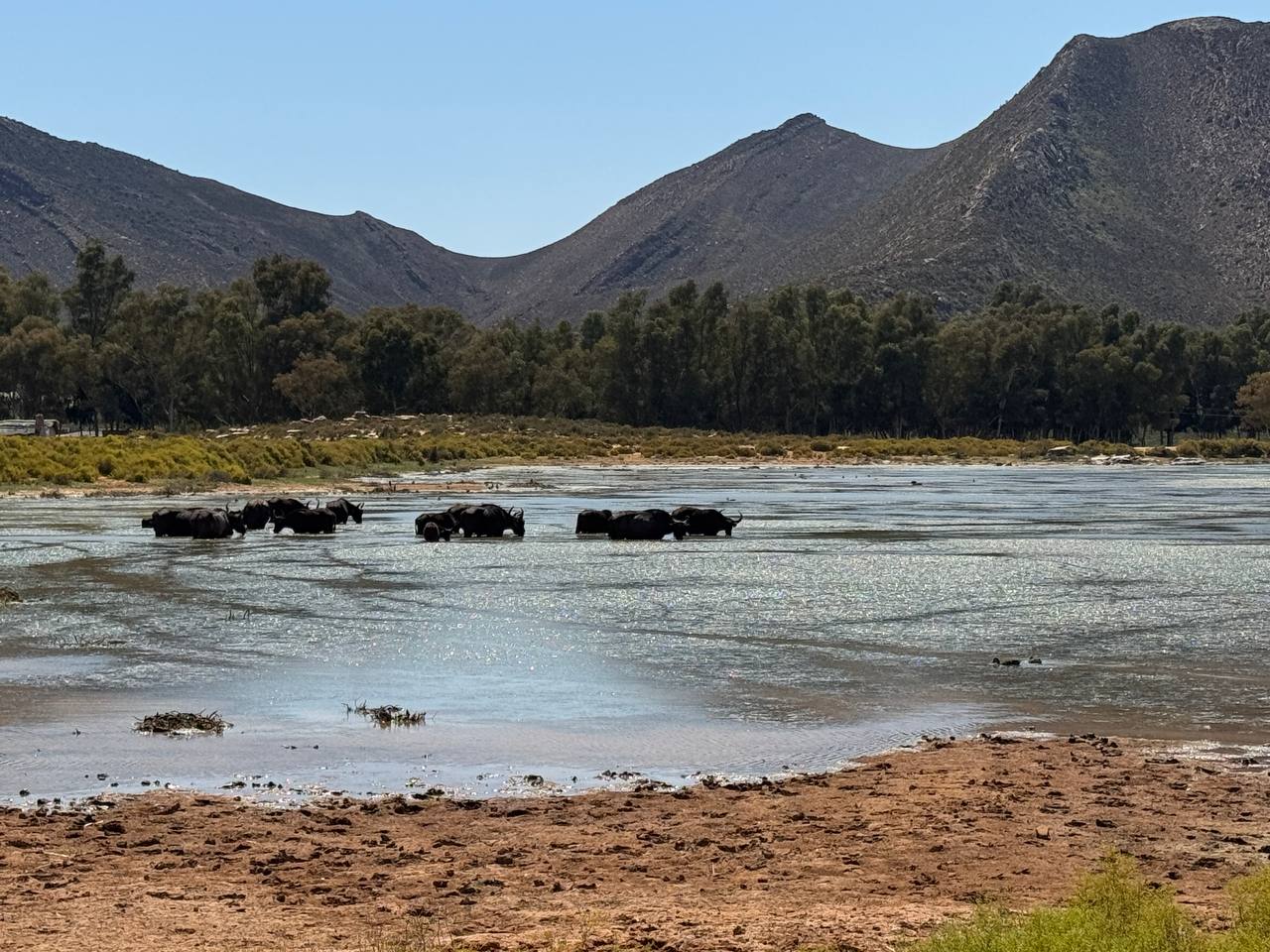 Юар: приключения на краю континента (10/35)