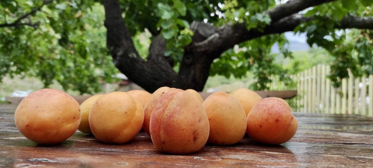 Вау-тур Золотое кольцо Дагестана, 6 дней, все включено! (14/18)