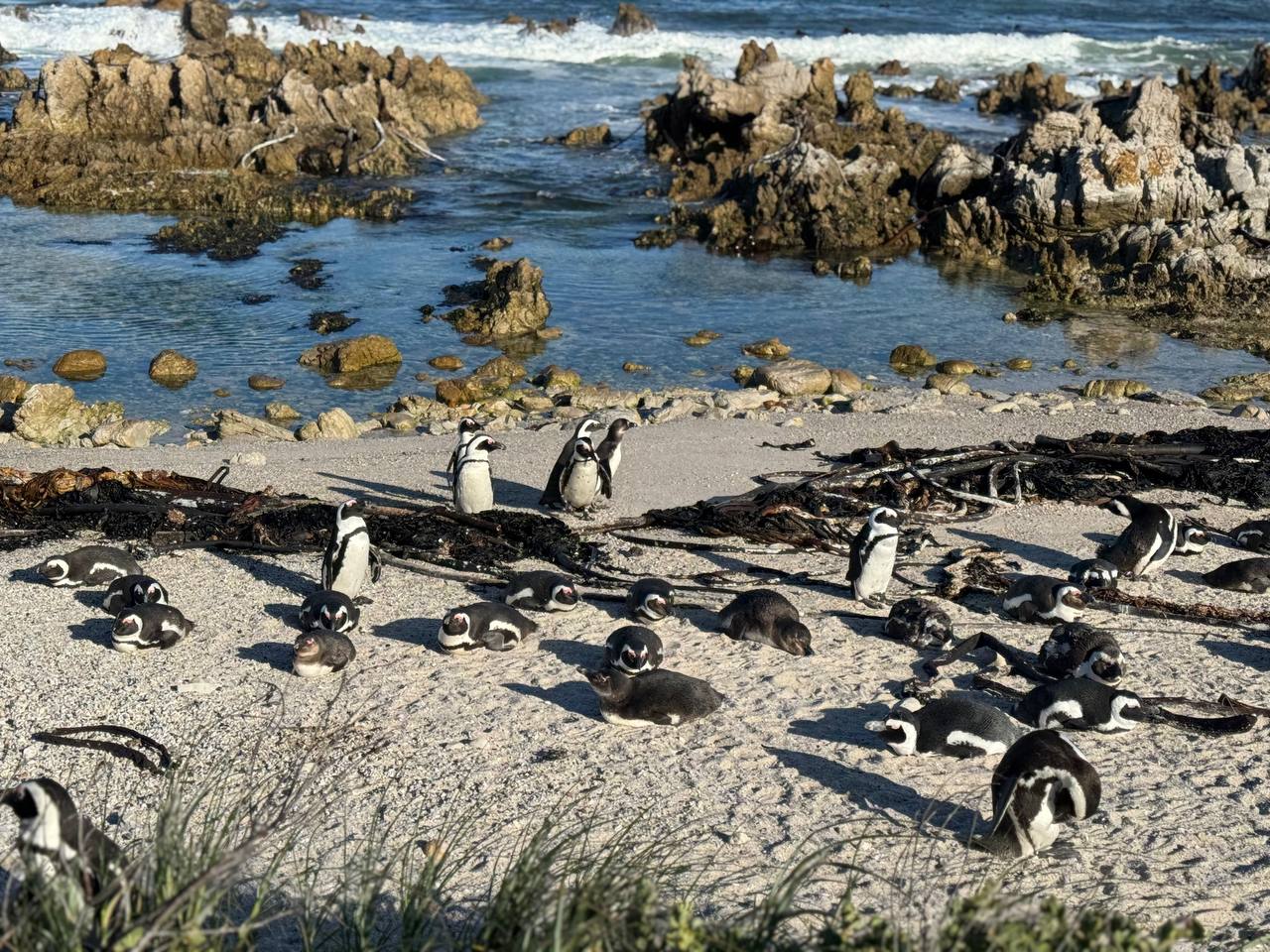 Юар: приключения на краю континента