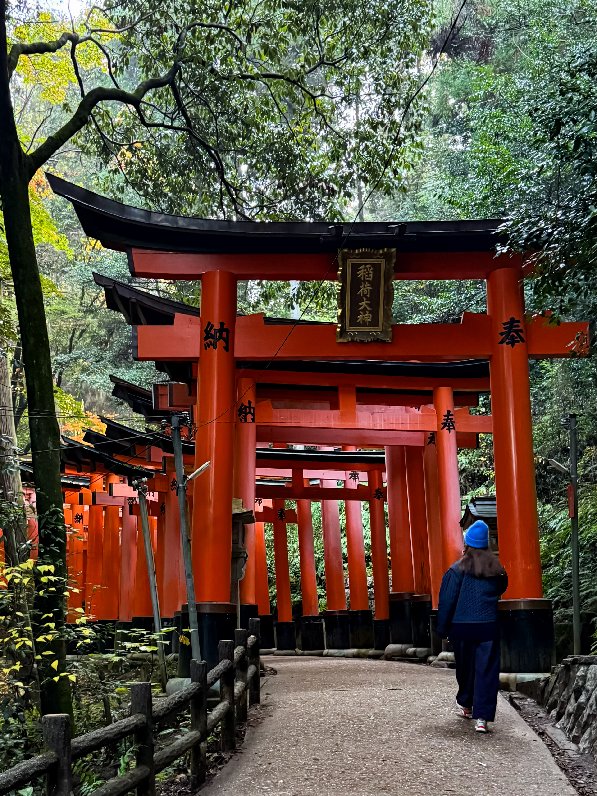 Япония: Путь за пределы (18/67)