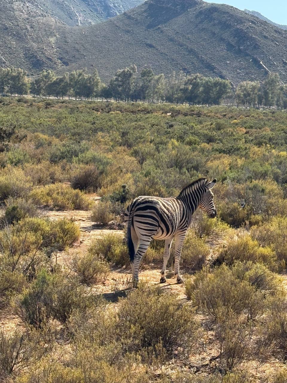 Юар: приключения на краю континента (8/35)