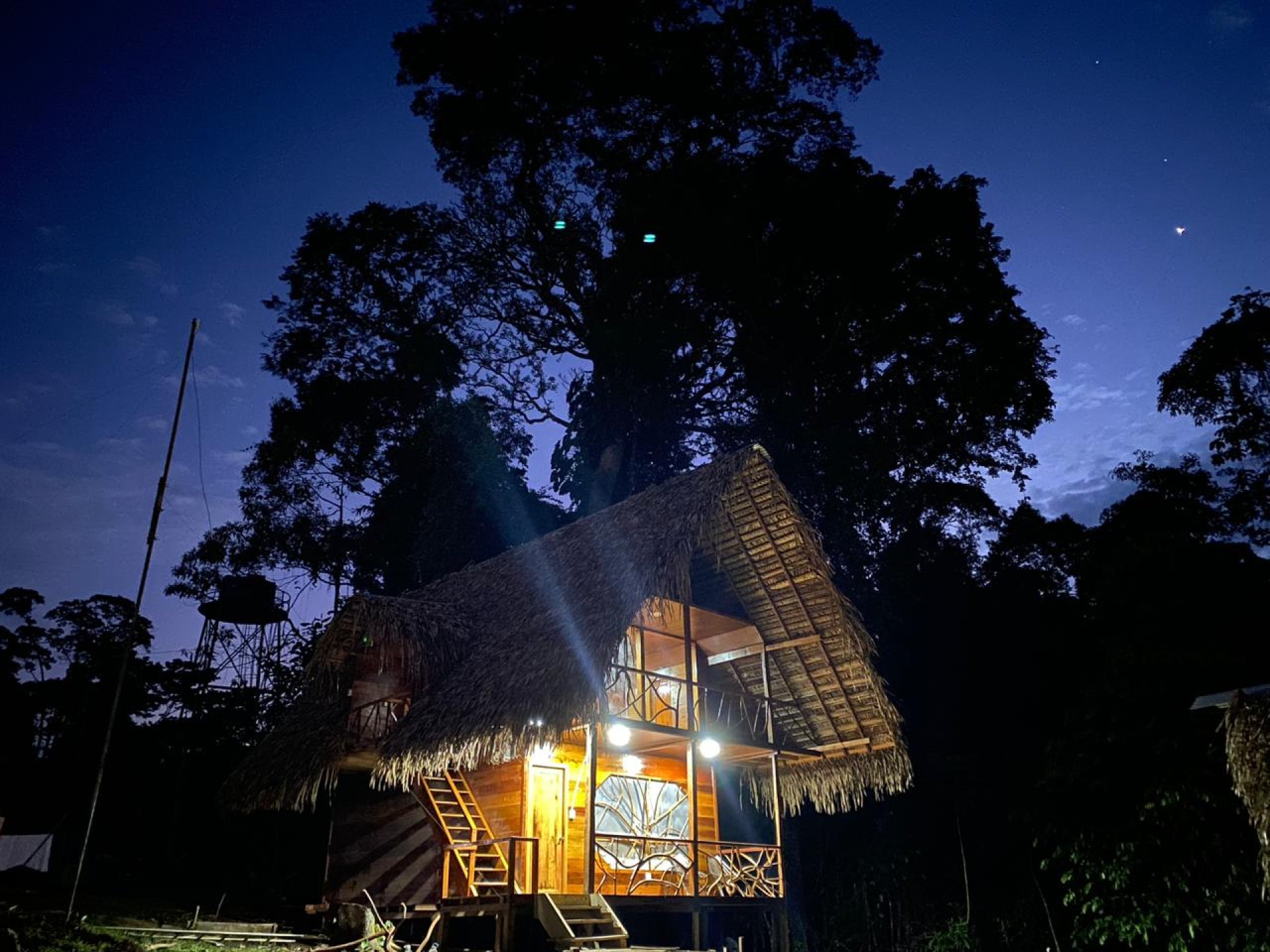 Amazon Adventure in Yasun  7 Days (12/19)