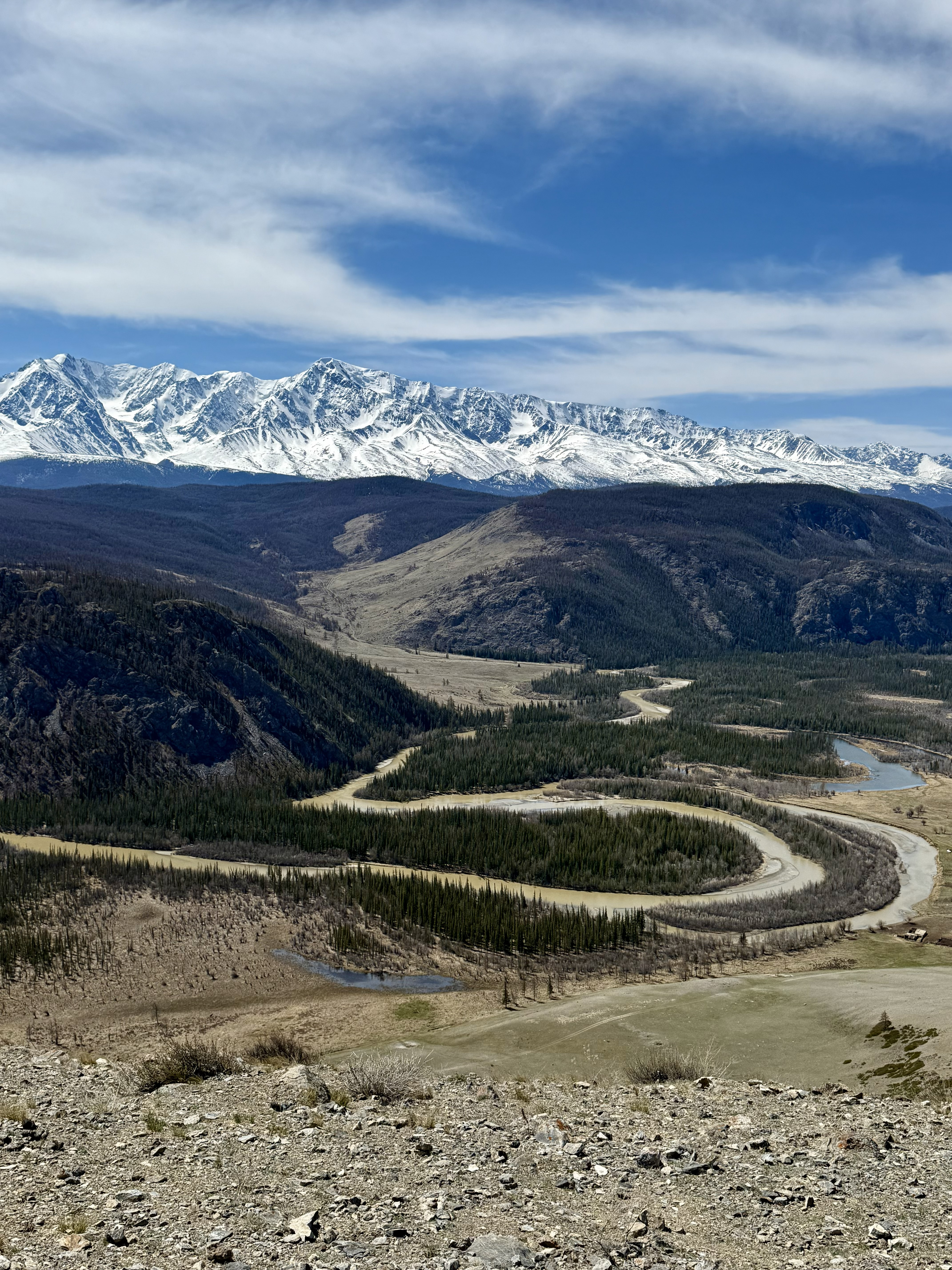 Весеннее волшебство Алтая. Все самое лучшее за 6 дней. (6/41)