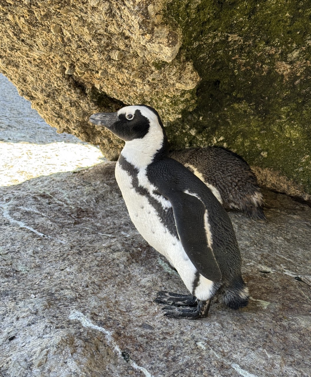 Юар: приключения на краю континента (3/35)