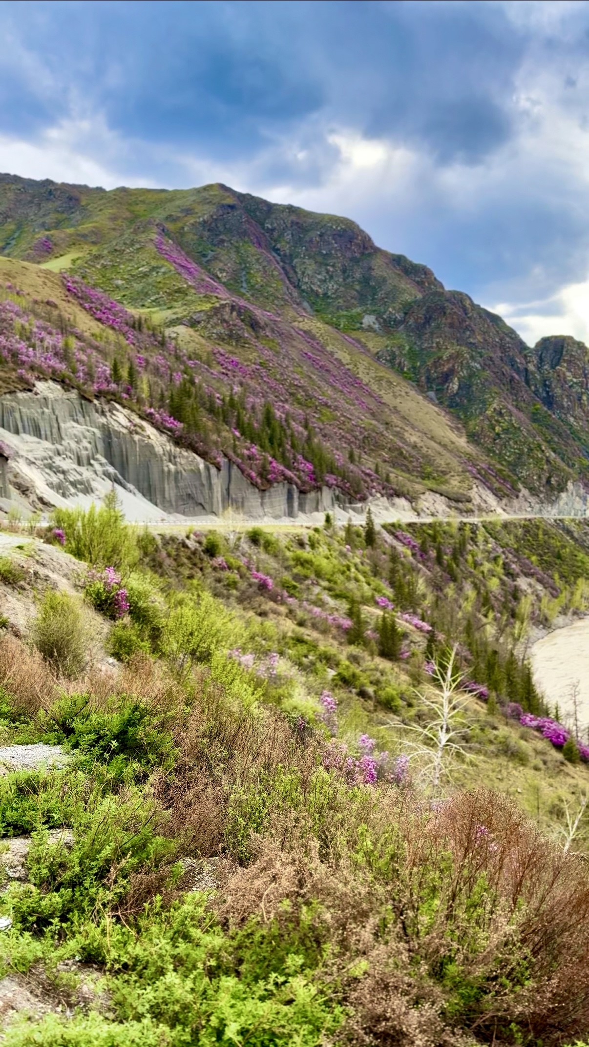 Весеннее волшебство Алтая. Все самое лучшее за 6 дней. (23/41)