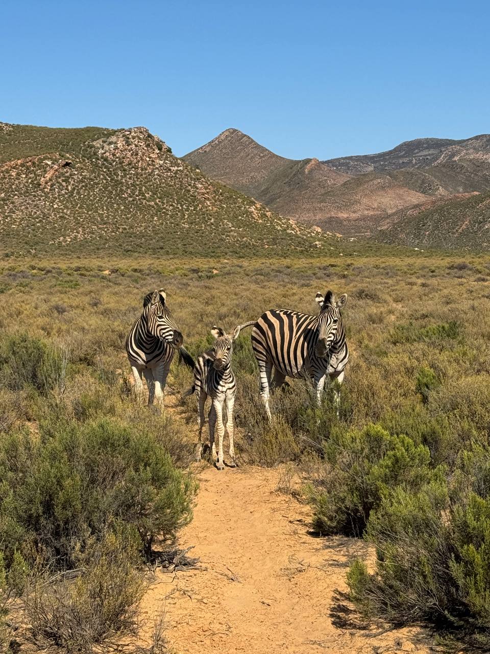 Юар: приключения на краю континента (7/35)