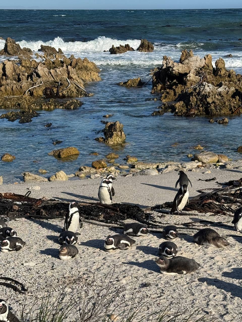 Юар: приключения на краю континента (12/35)