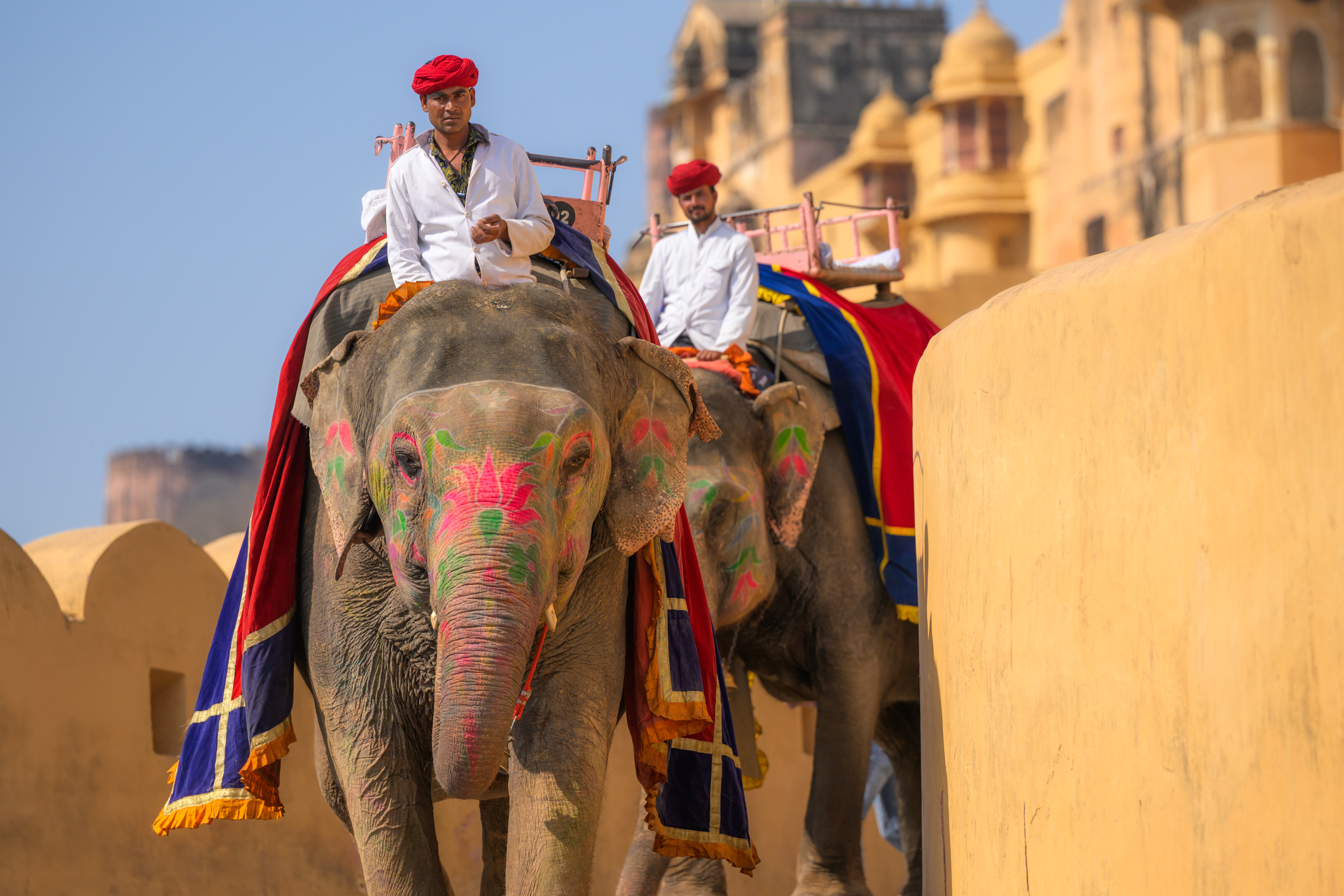 Джайпур - Джодхпур