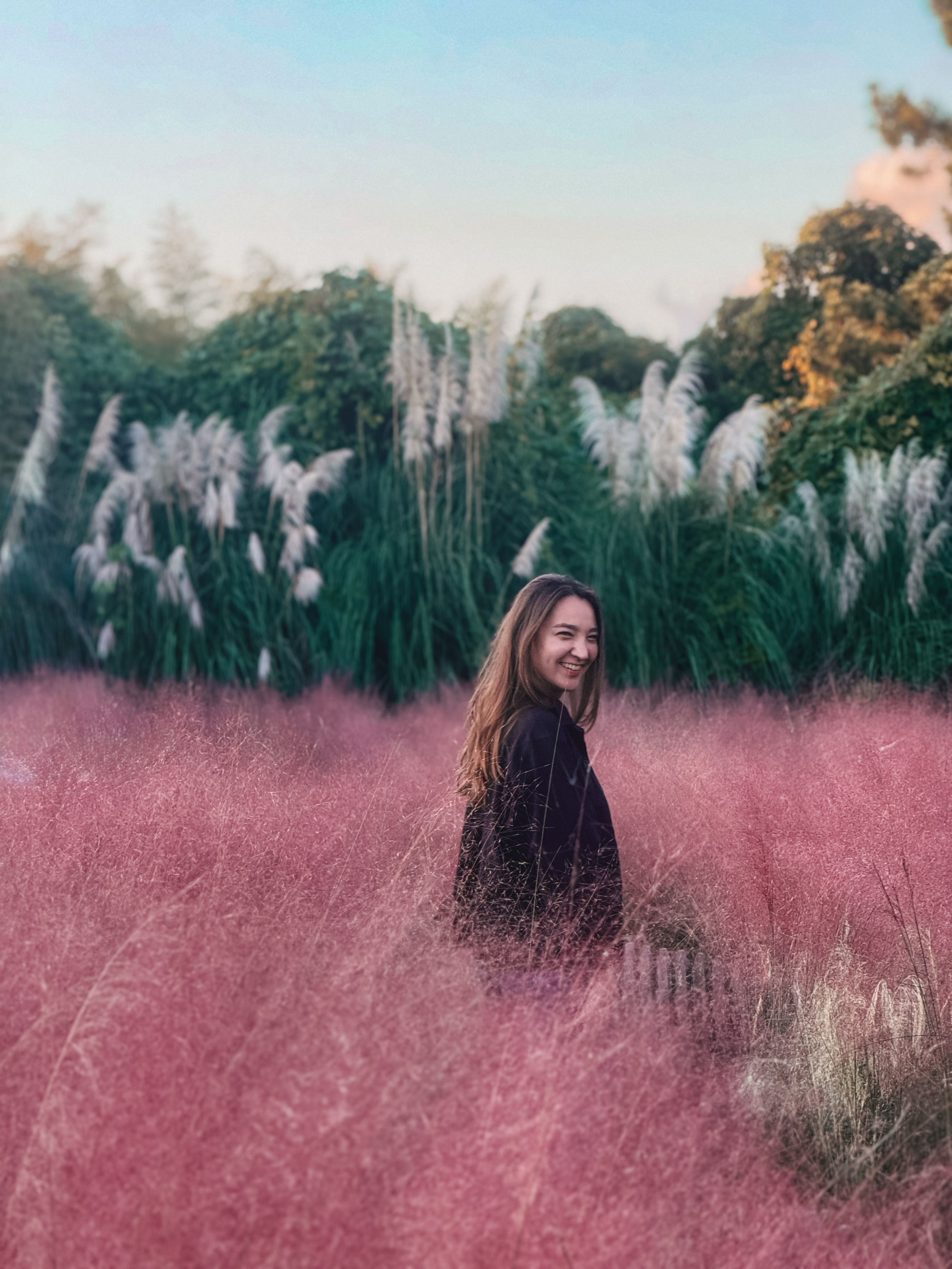 Южная Корея: по острову Чеджу (19/64)