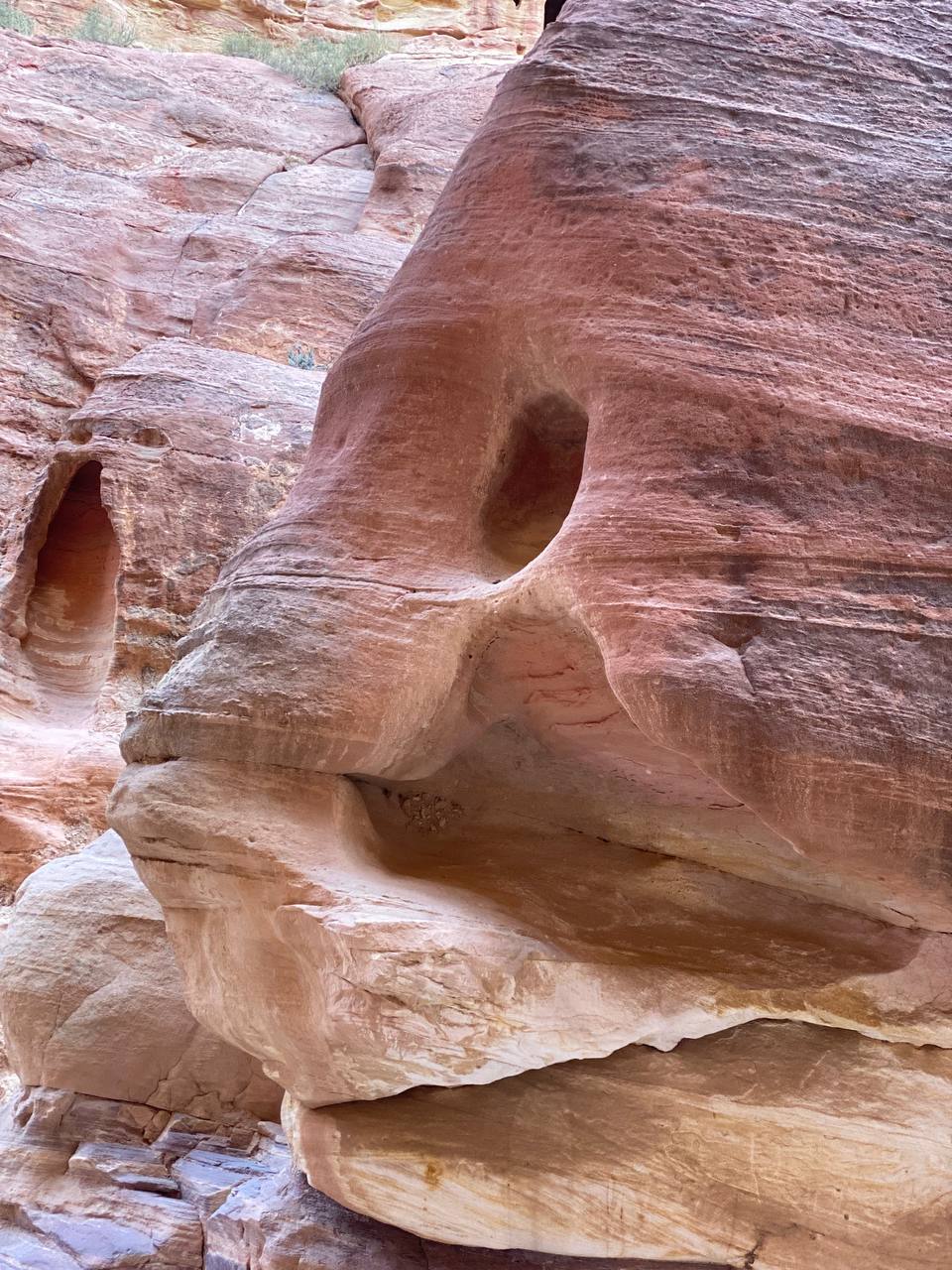 Сафари в пустыне