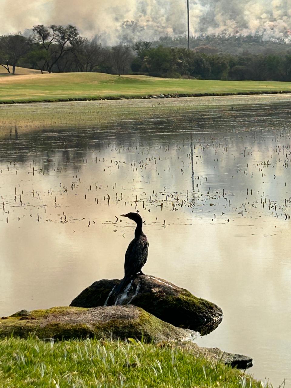 Моя Африка (8/45)