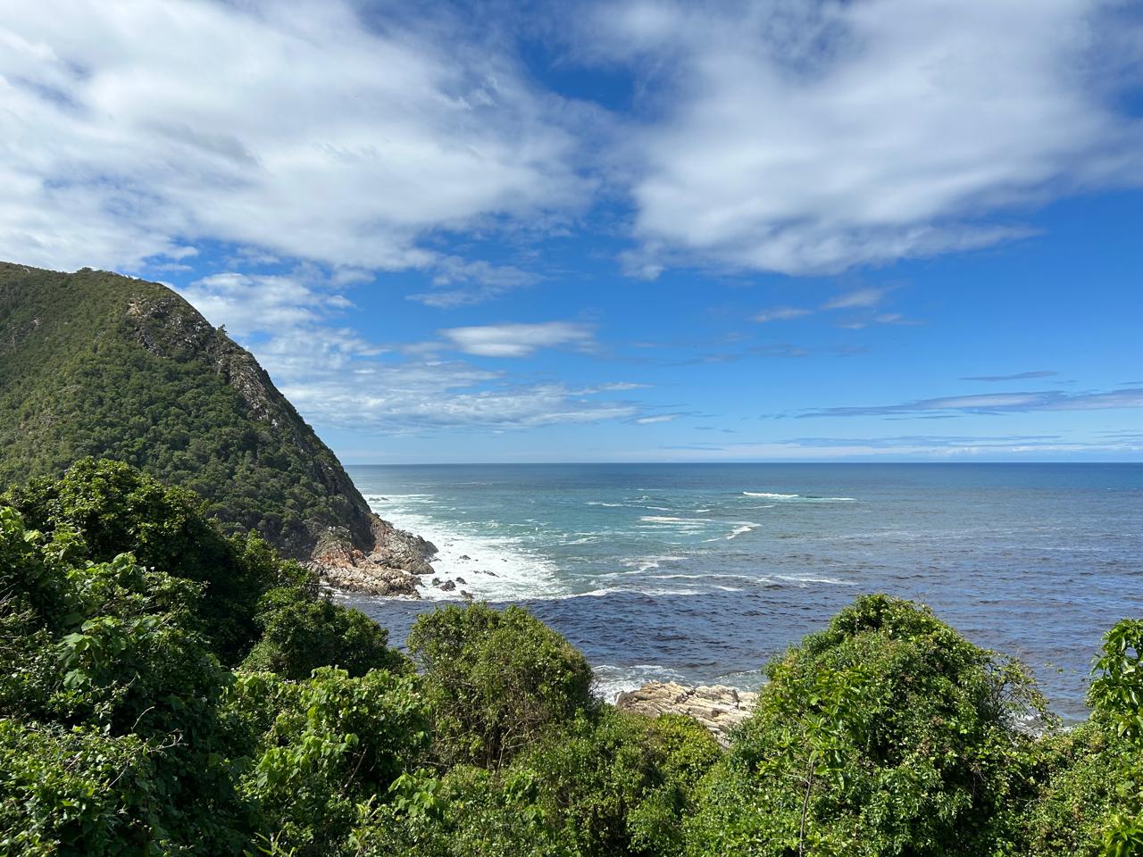 Моя Африка (4/45)