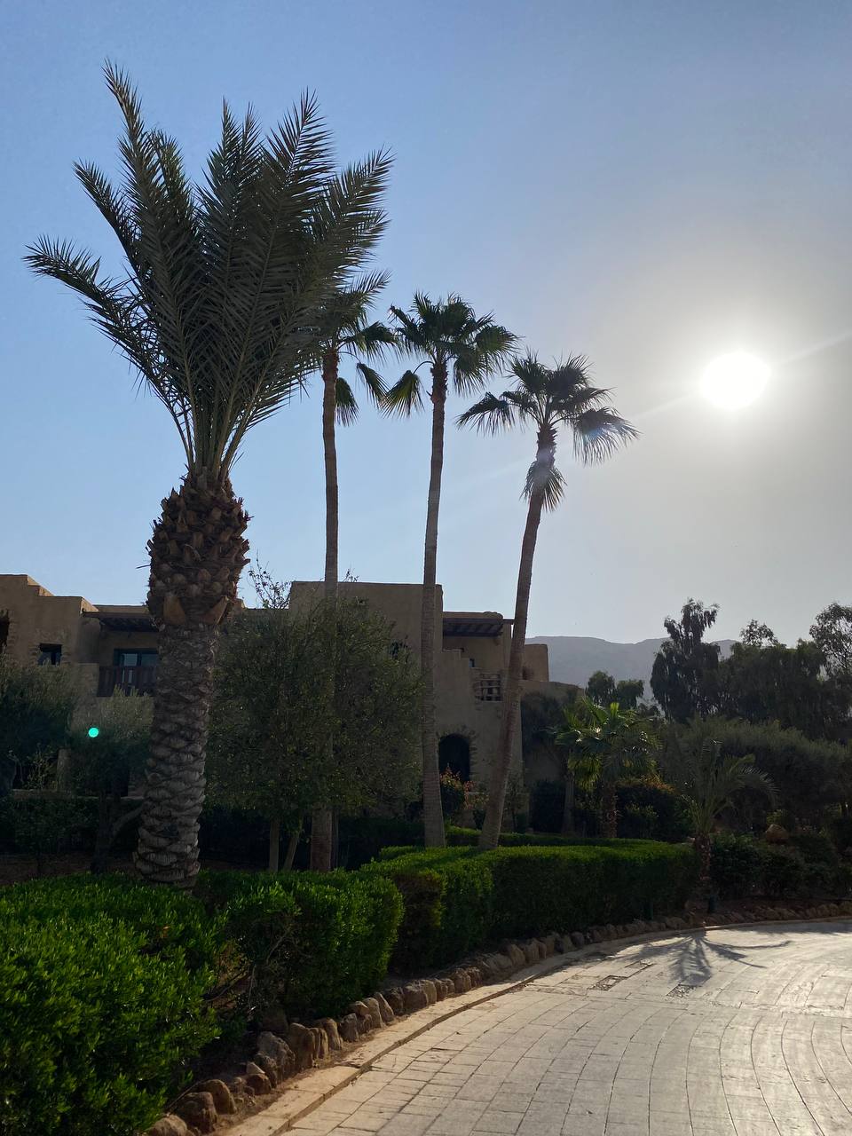 Лечебные курорты Метрвого моря