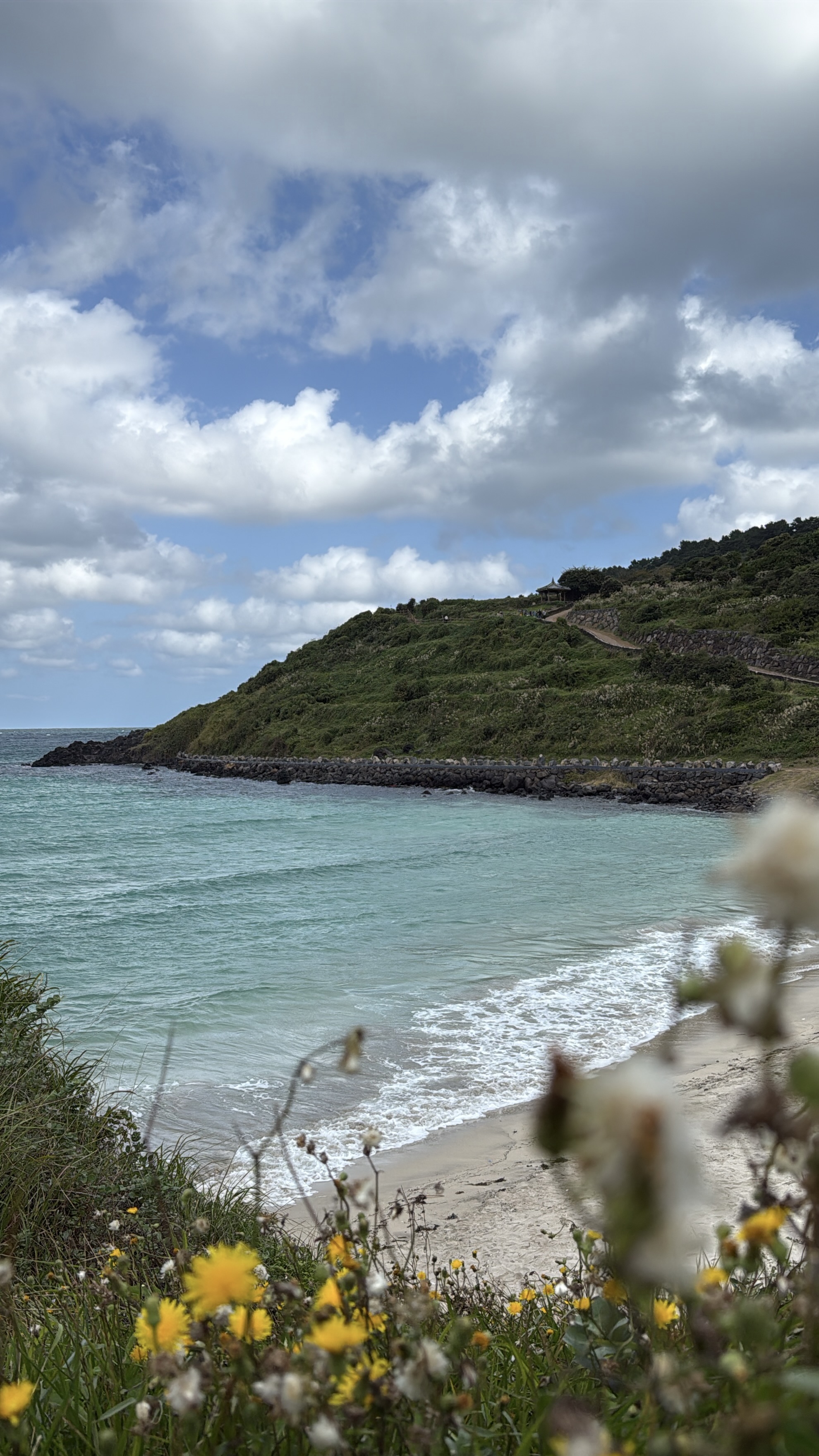 Южная Корея: по острову Чеджу (15/64)