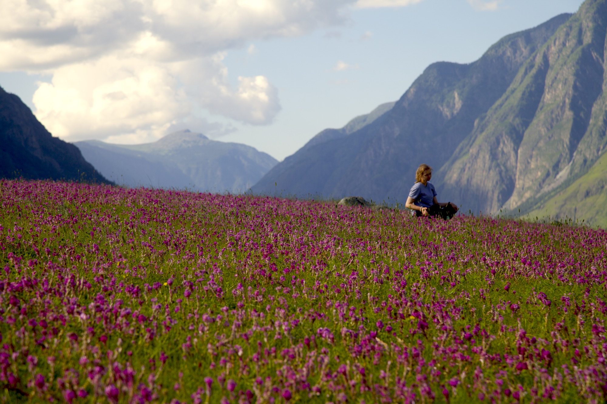 Путешествие к тайнам Горного Алтая (64/111)