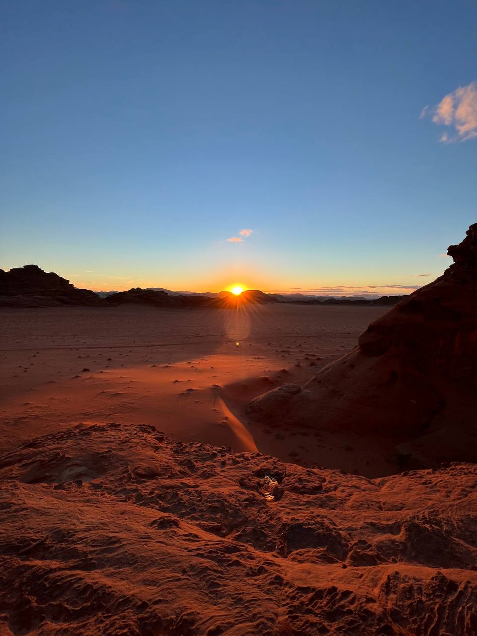 Сафари в пустыне