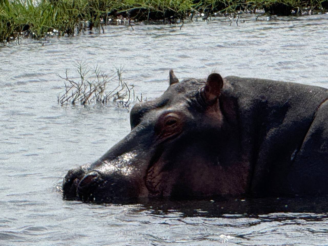 Моя Африка (2/45)