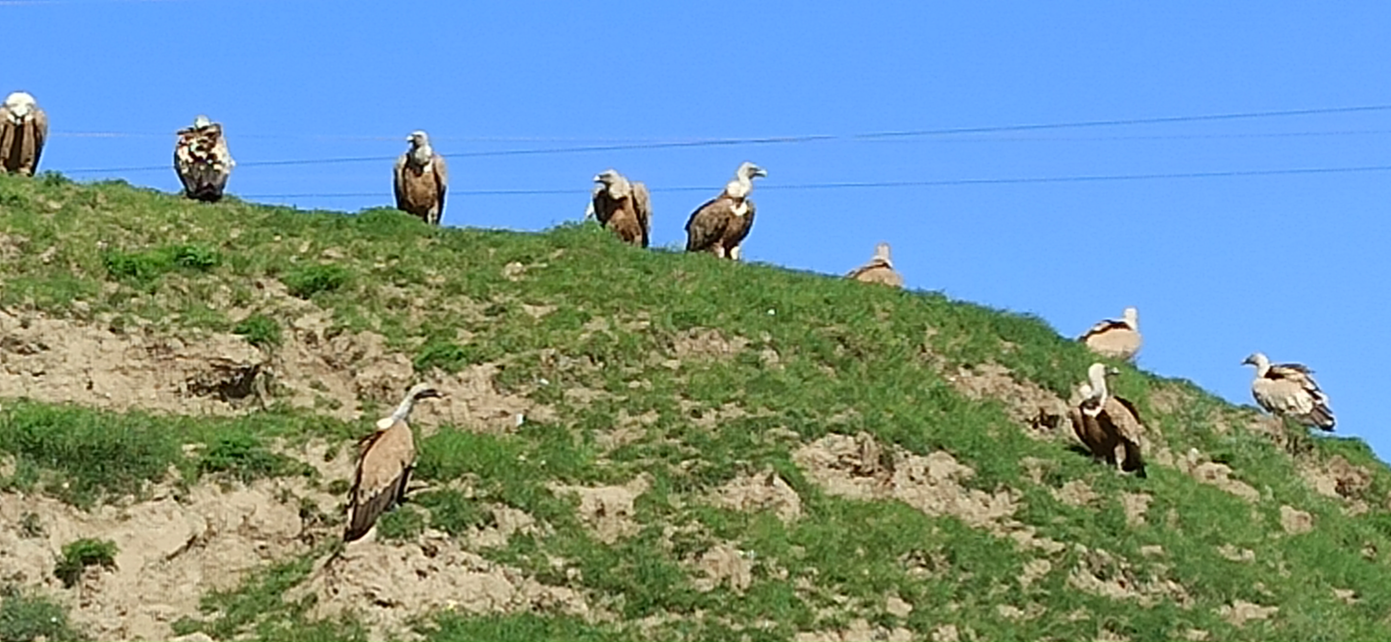 Три солнечных дня в Дагестане-авторский тур (все включено) (6/17)