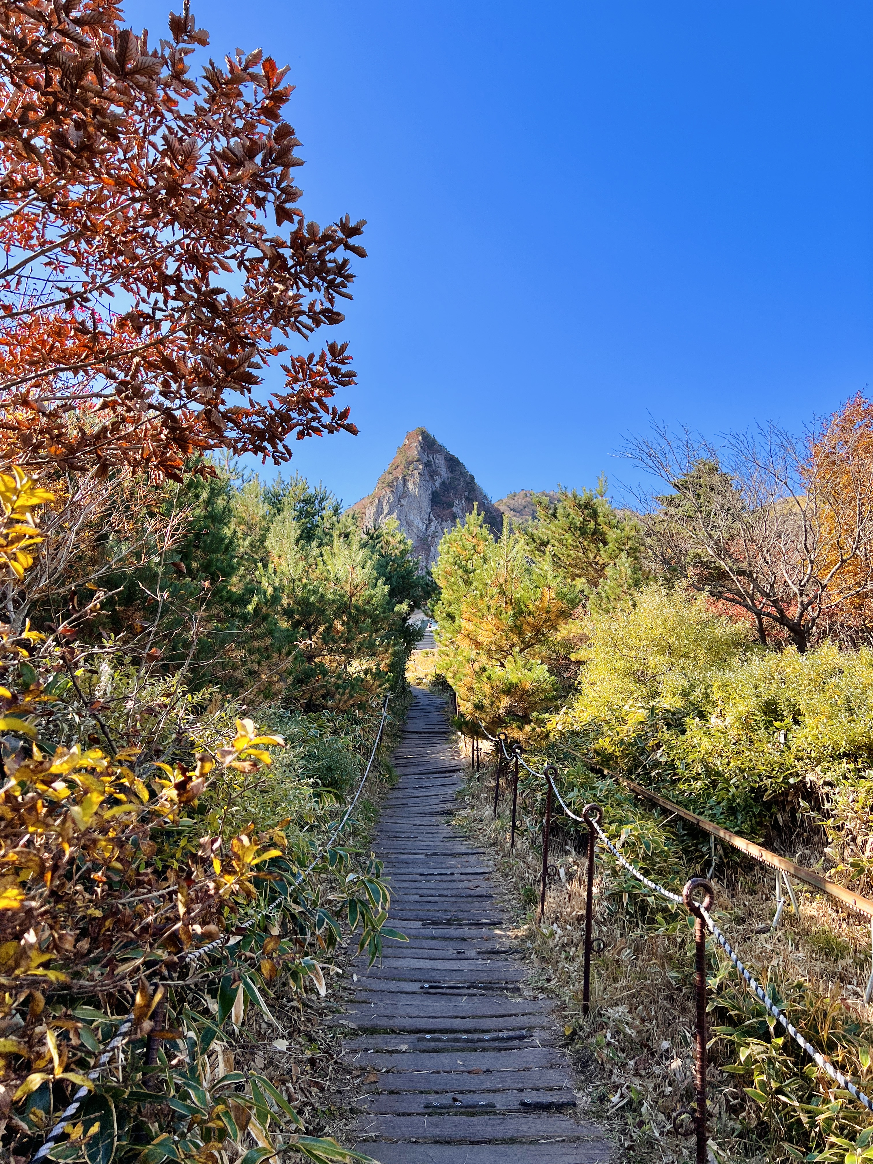 Южная Корея: по острову Чеджу (5/64)