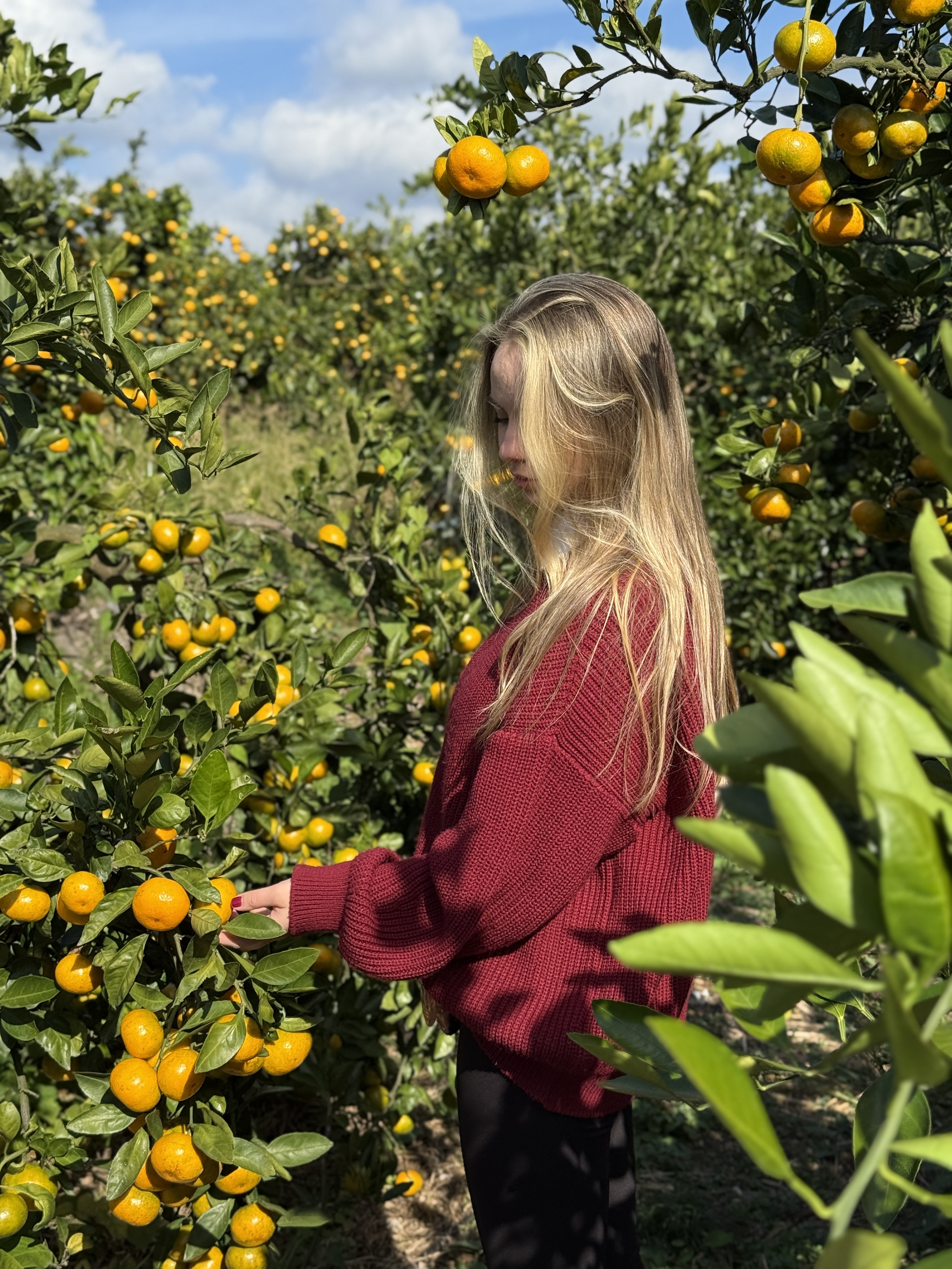 Южная Корея: по острову Чеджу (26/64)