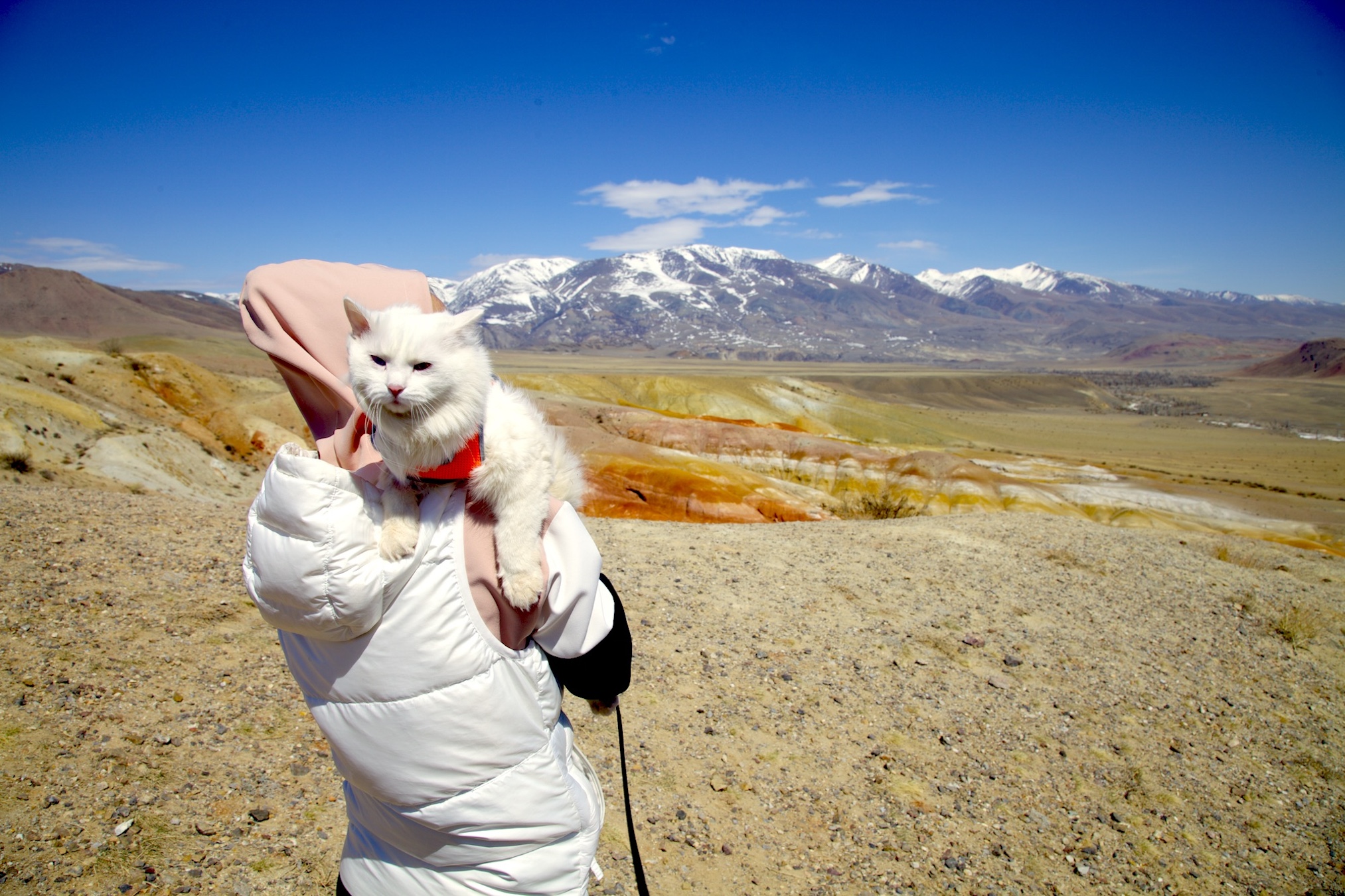 Путешествие к Монголии