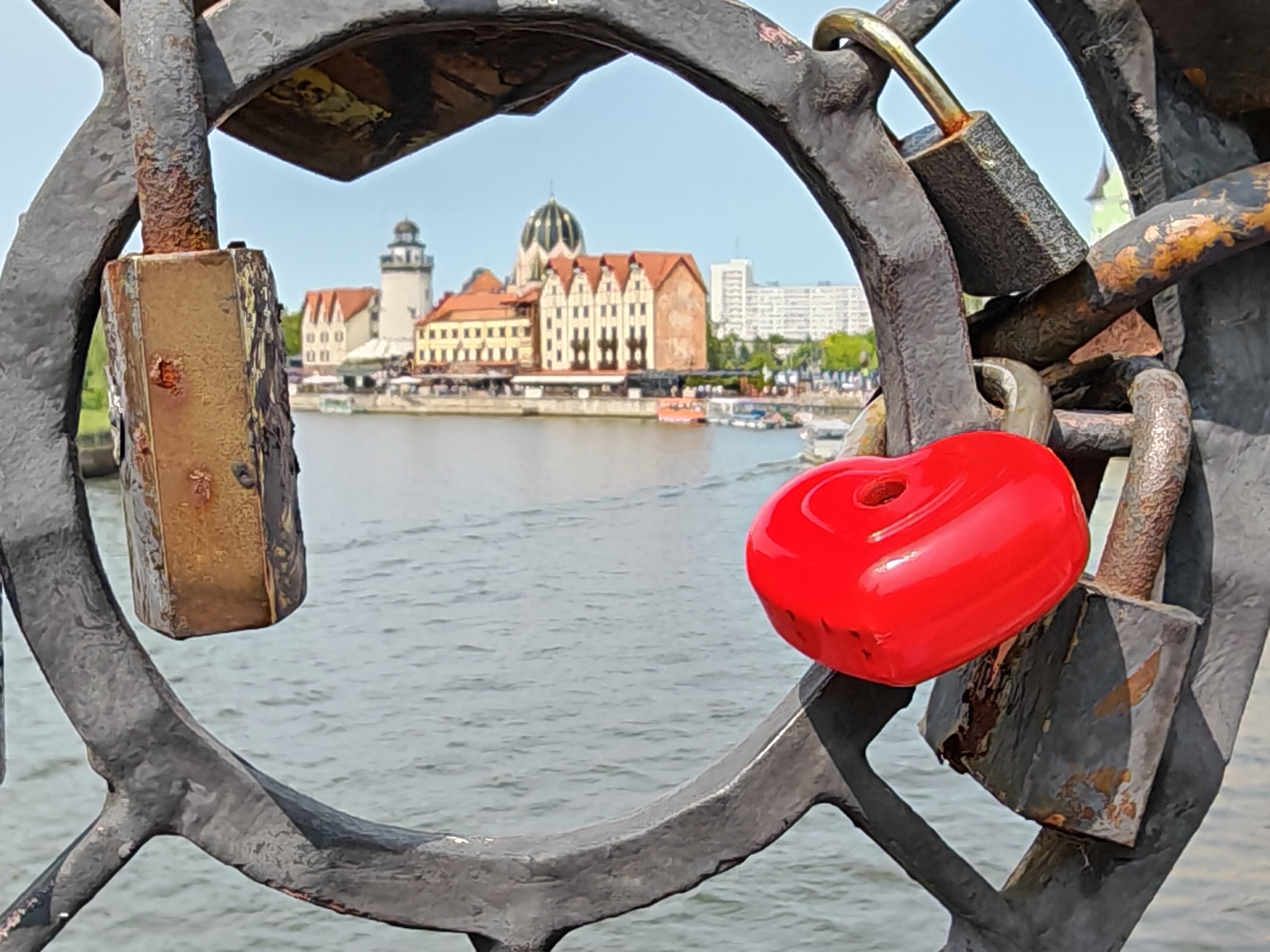 Десять нитей над Преголей: мосты, что сшили город (4/8)