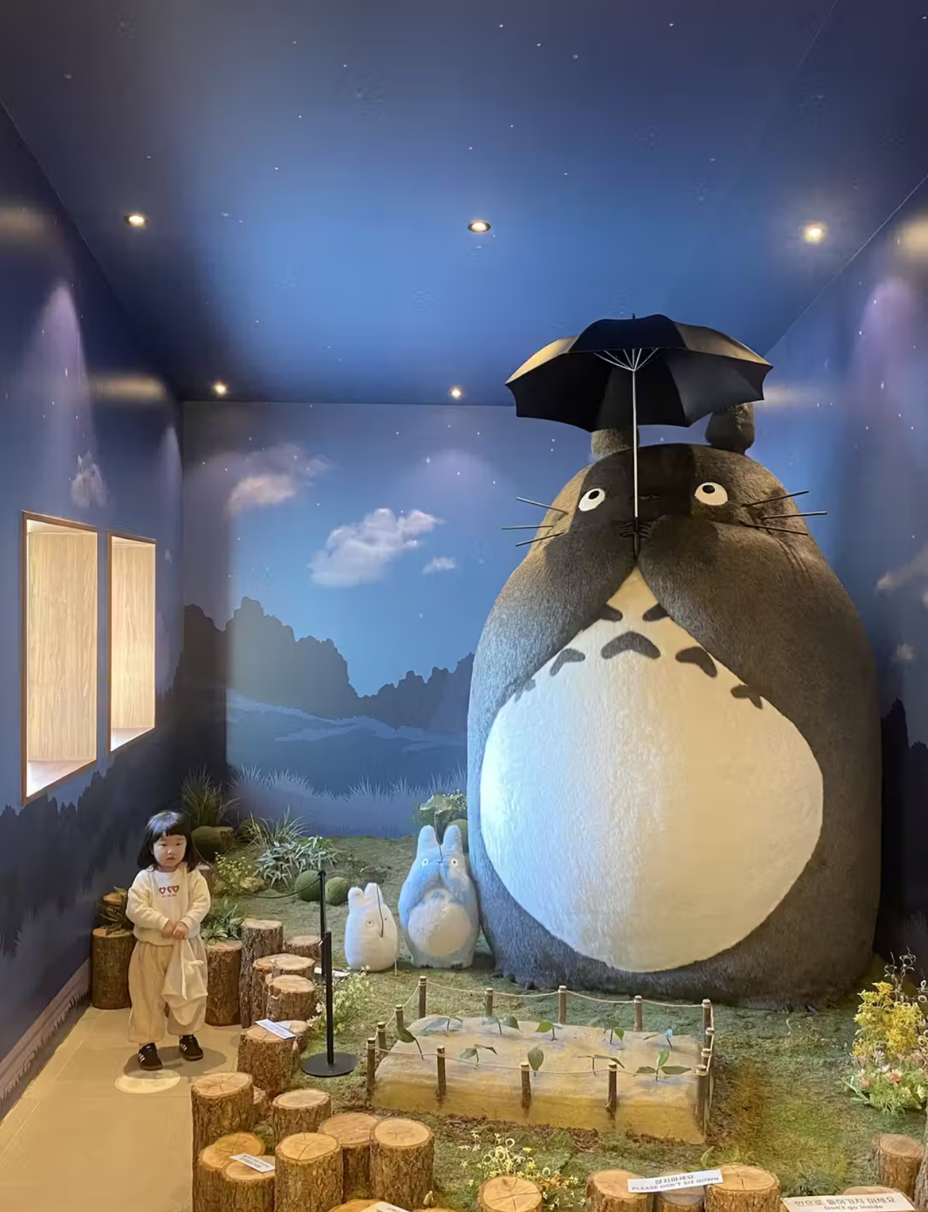 Южная Корея: по острову Чеджу (34/64)