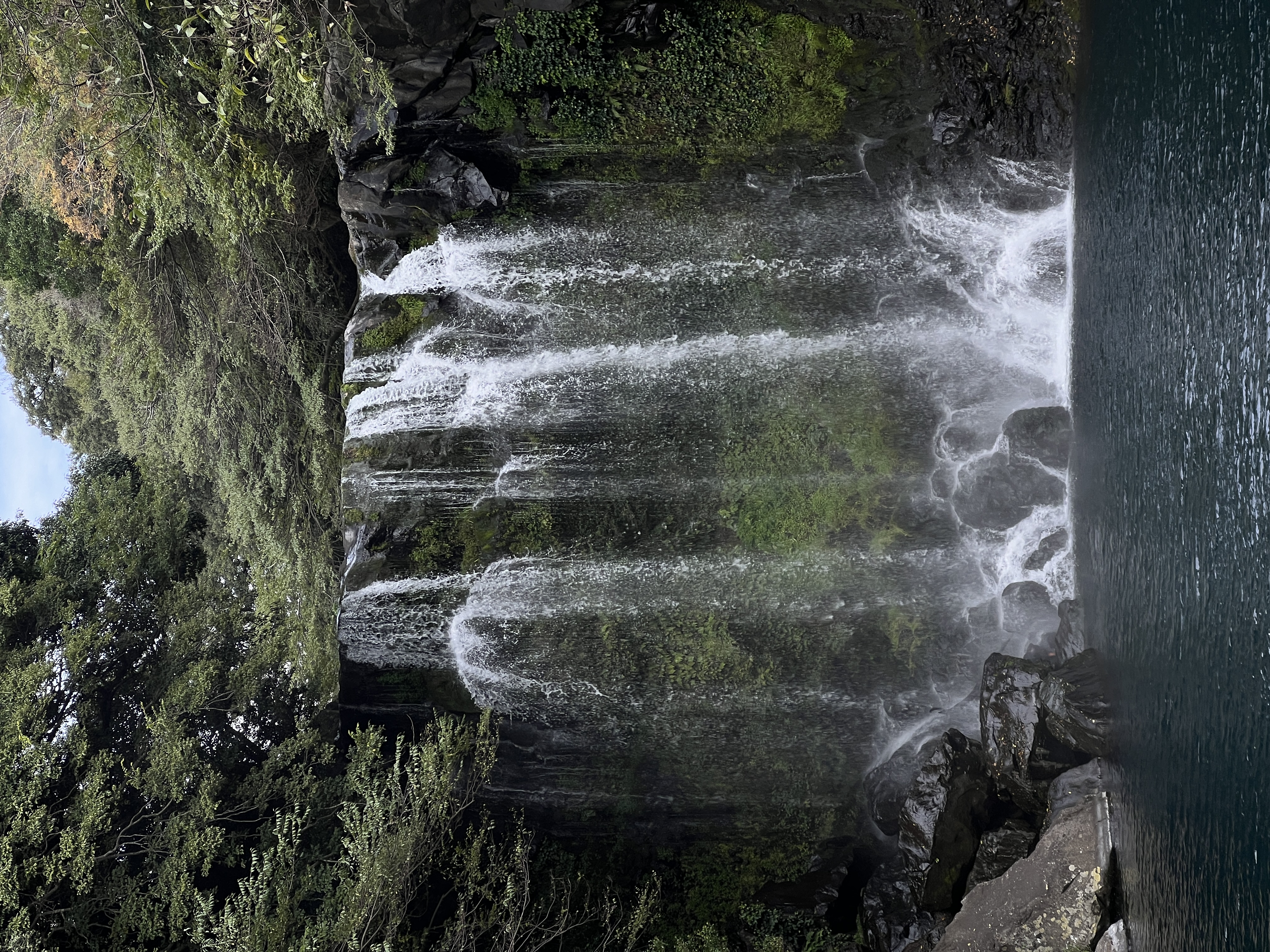 Южная Корея: по острову Чеджу (13/64)