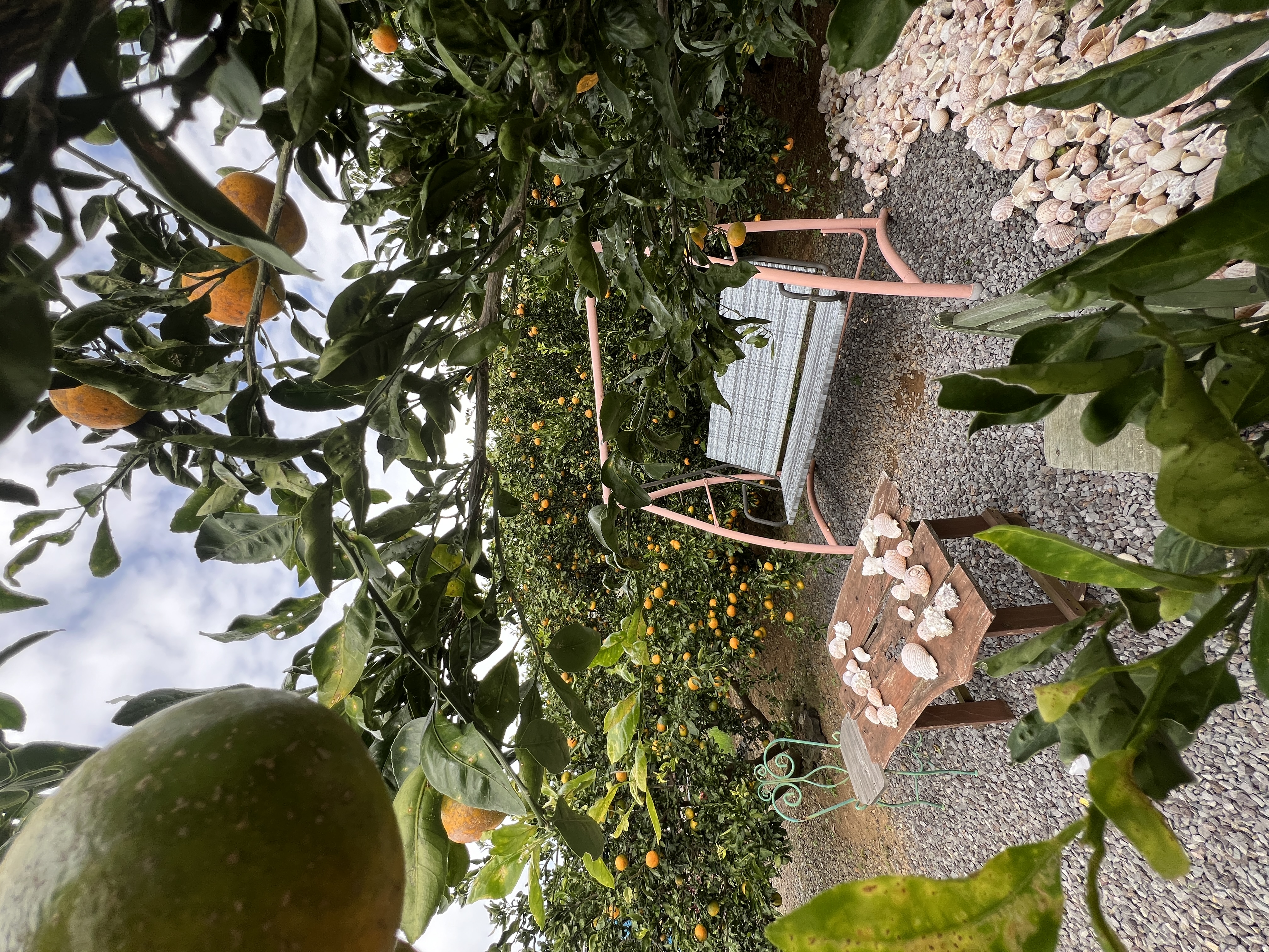 Южная Корея: по острову Чеджу (10/64)