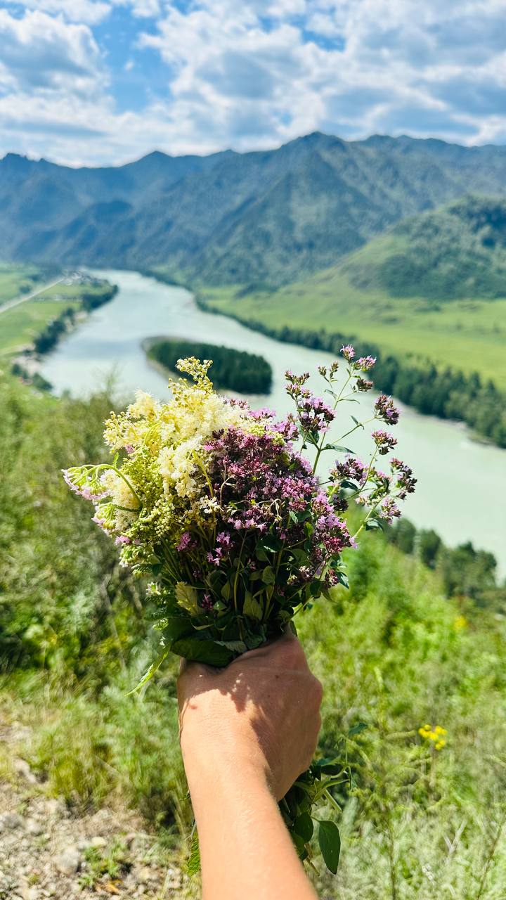 Аюрведа йога-тур Сила гор