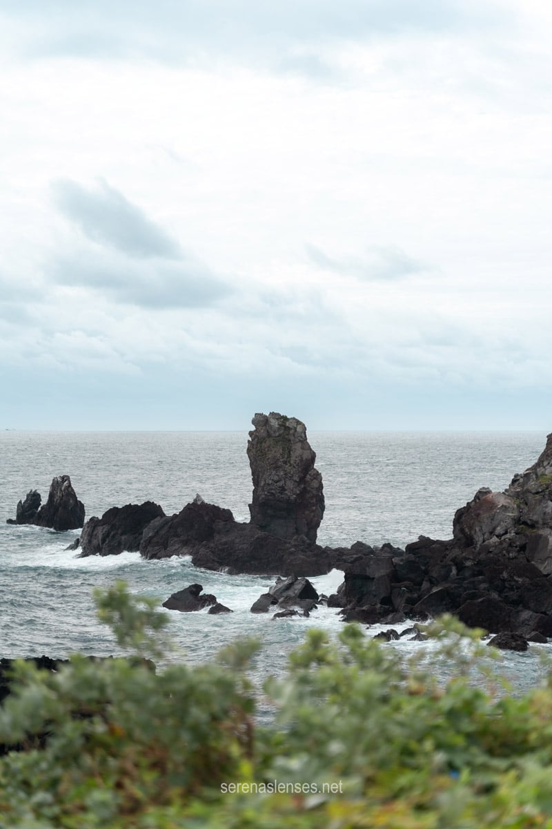 Южная Корея: по острову Чеджу (30/64)