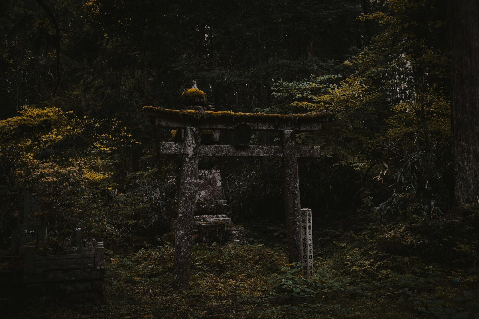 Cакура Для Тебя (4/31)