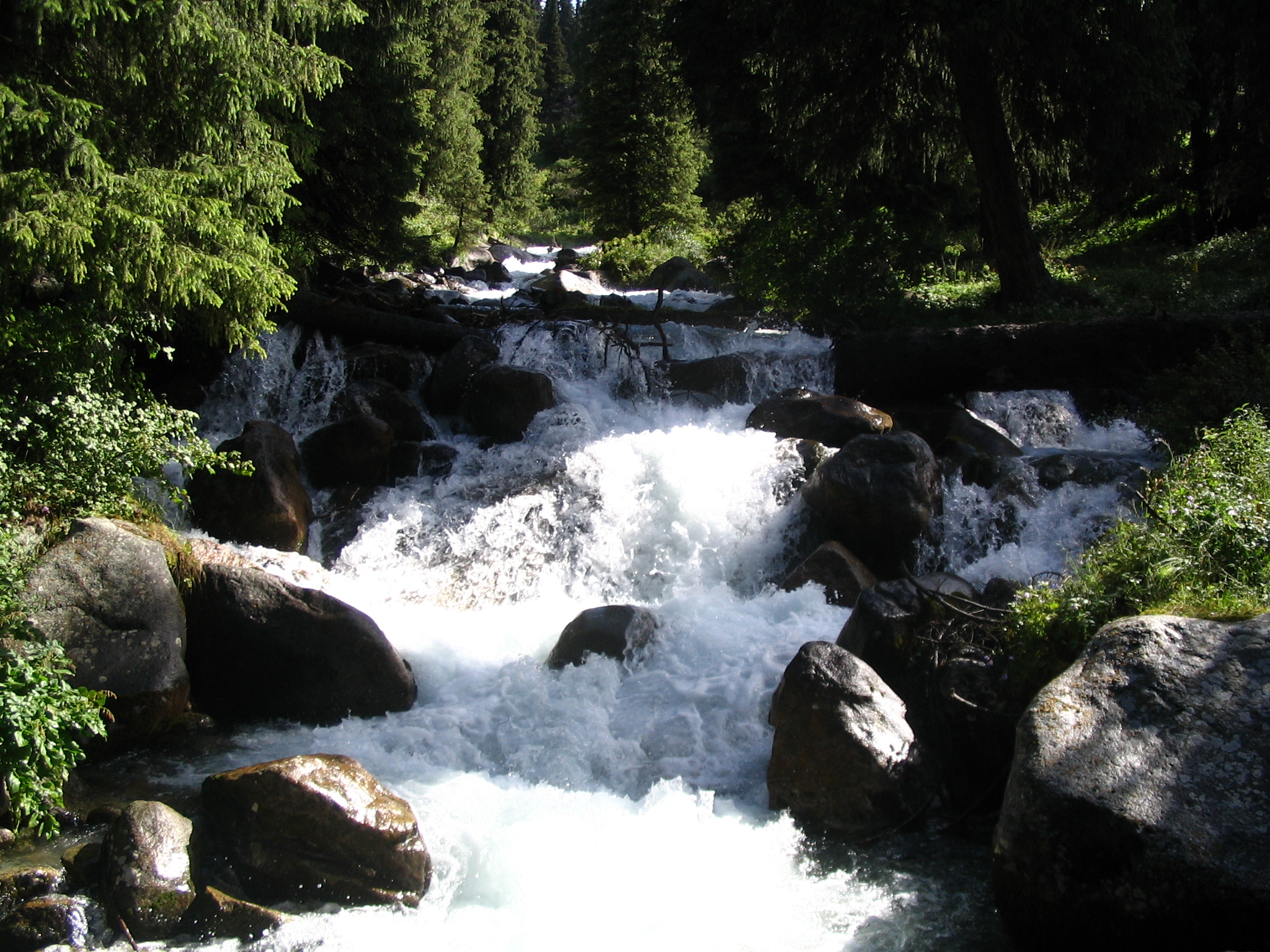 Горное озеро Кель Тор и лучшие локации северного берега Иссык Куля 6 дней (2/30)