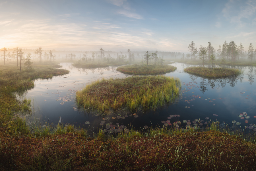 Комфортный тур на болота (4/13)