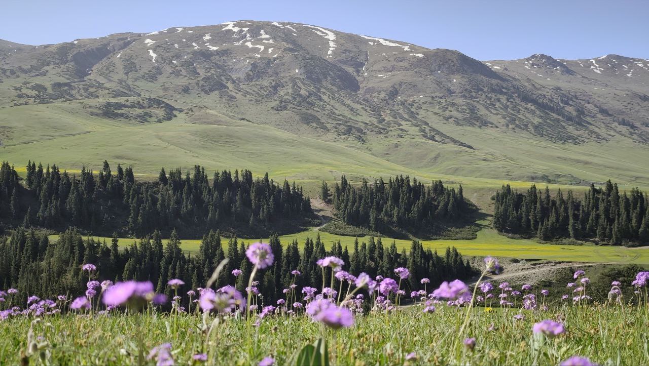 Топ 6 горных озер Киргизии за 8 дней 7 ночей (6/36)