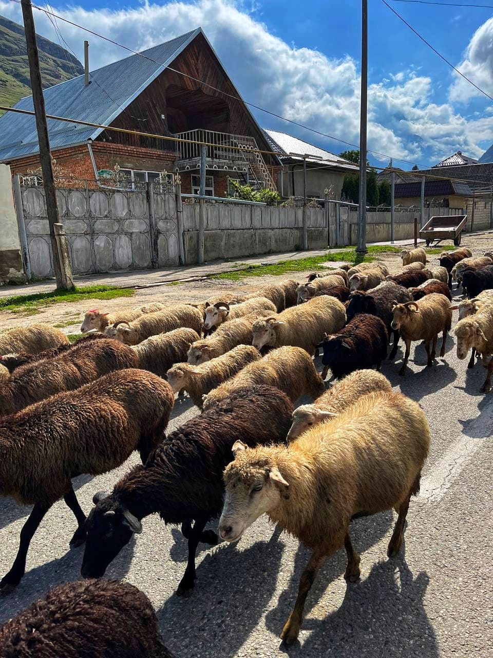 Авторский тур Чудеса Кавказа - 8 марта в Приэльбрусье! (22/73)