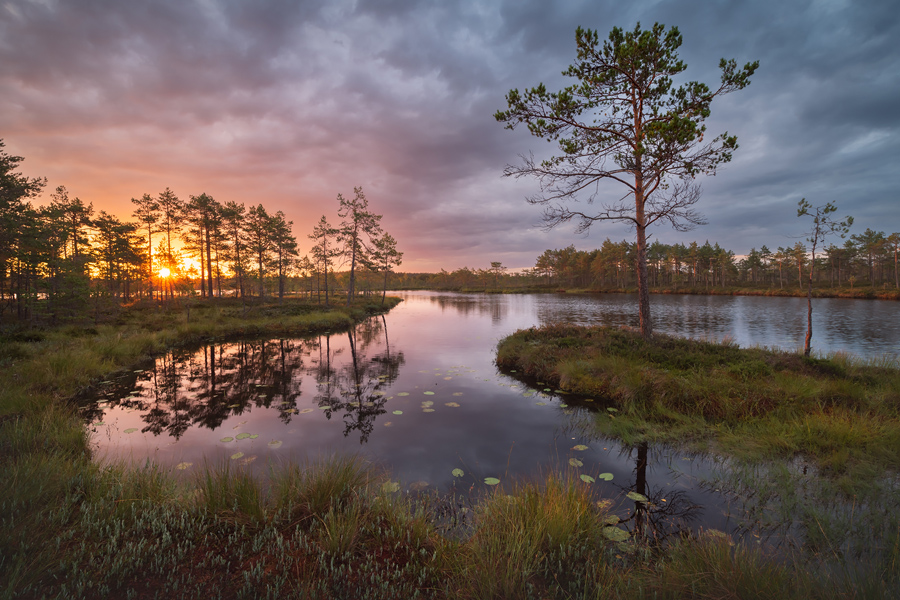 Комфортный тур на болота (7/13)