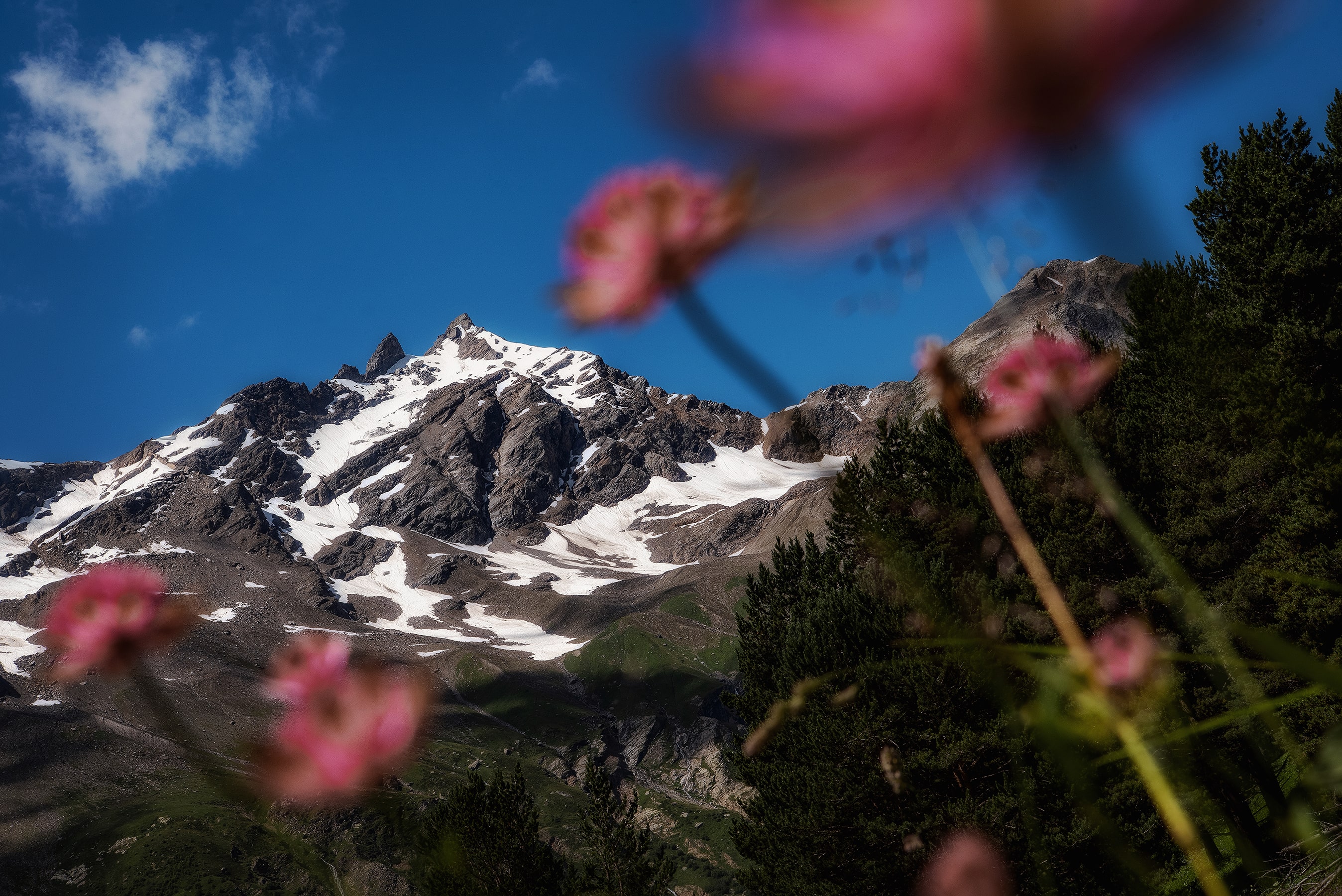 Тропами Приэльбрусья, 7 дней в вау-локациях