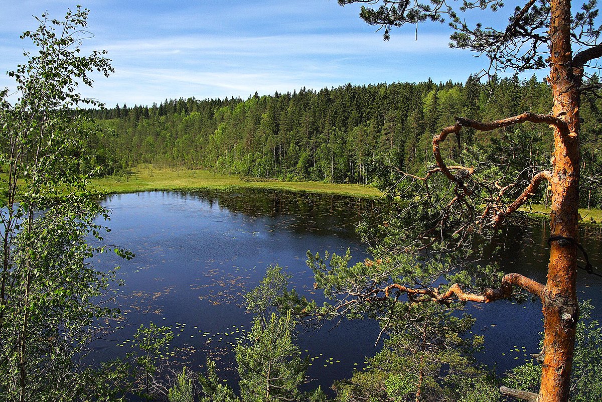 Озеро Ястребиное. Техника горного туризма и отдыха. Взрослый сад (6/7)