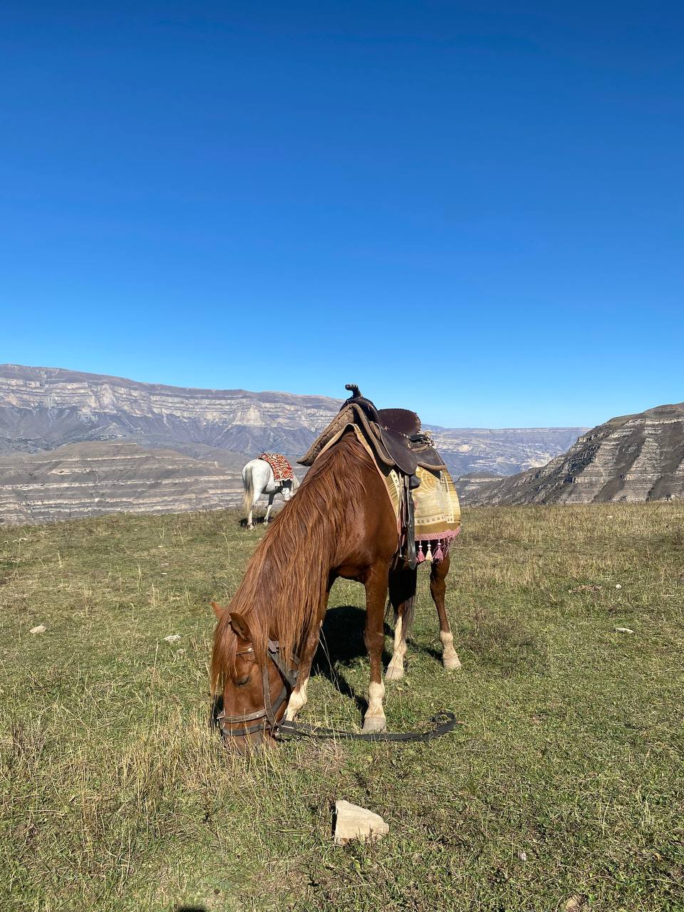 Гоор и Кахиб (8/10)