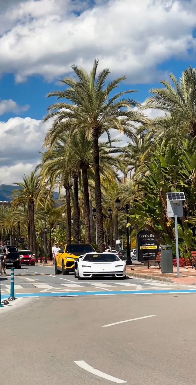 Южная Испания Vip: Два континента & полёт над Гибралтаром (78/128)