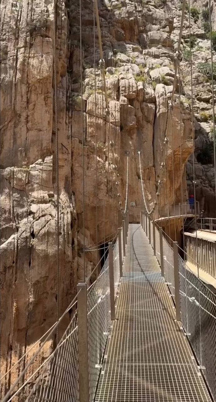 Южная Испания Vip: Два континента & полёт над Гибралтаром (105/128)