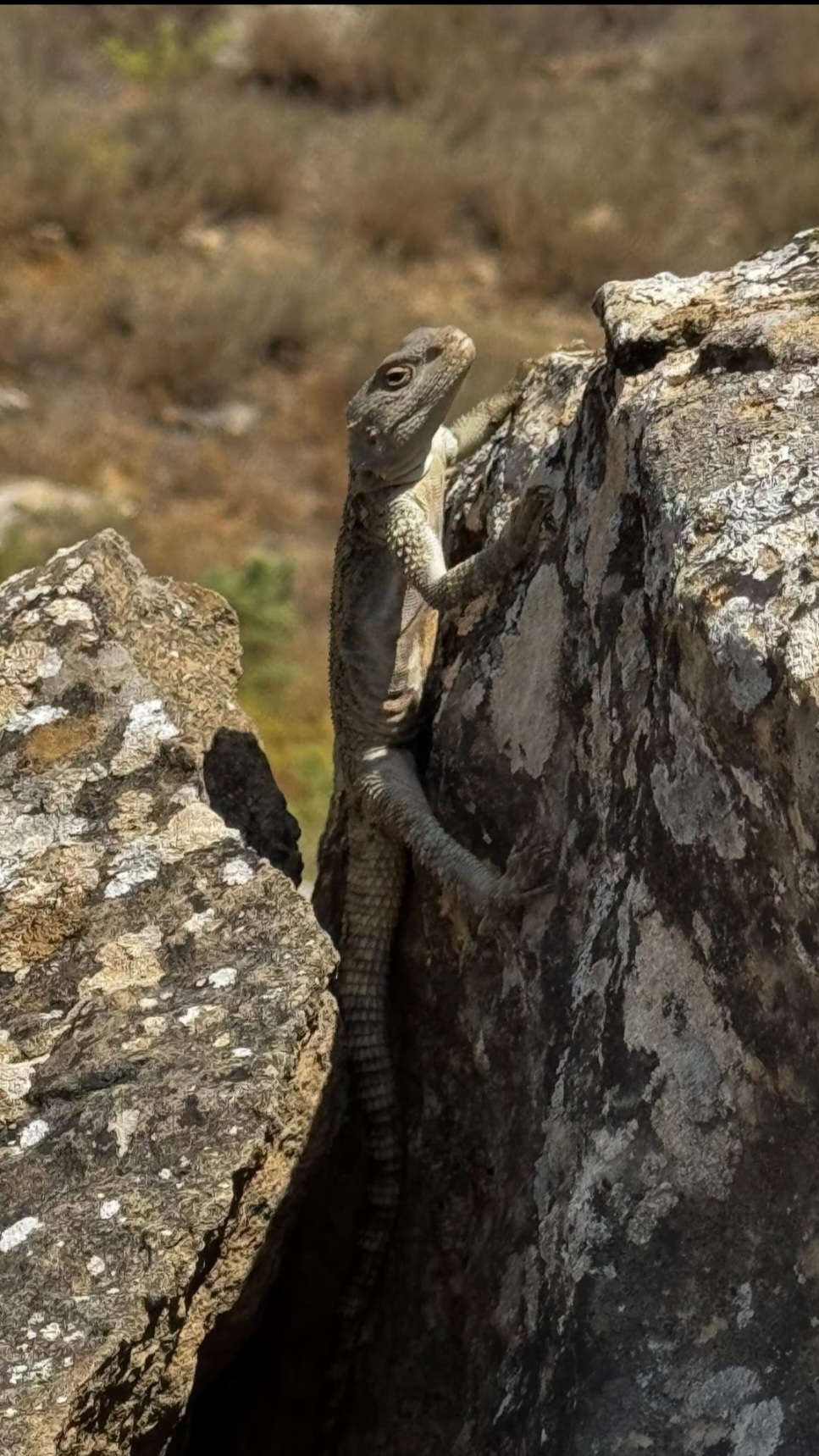 5 уникальных чудес Азербайджана