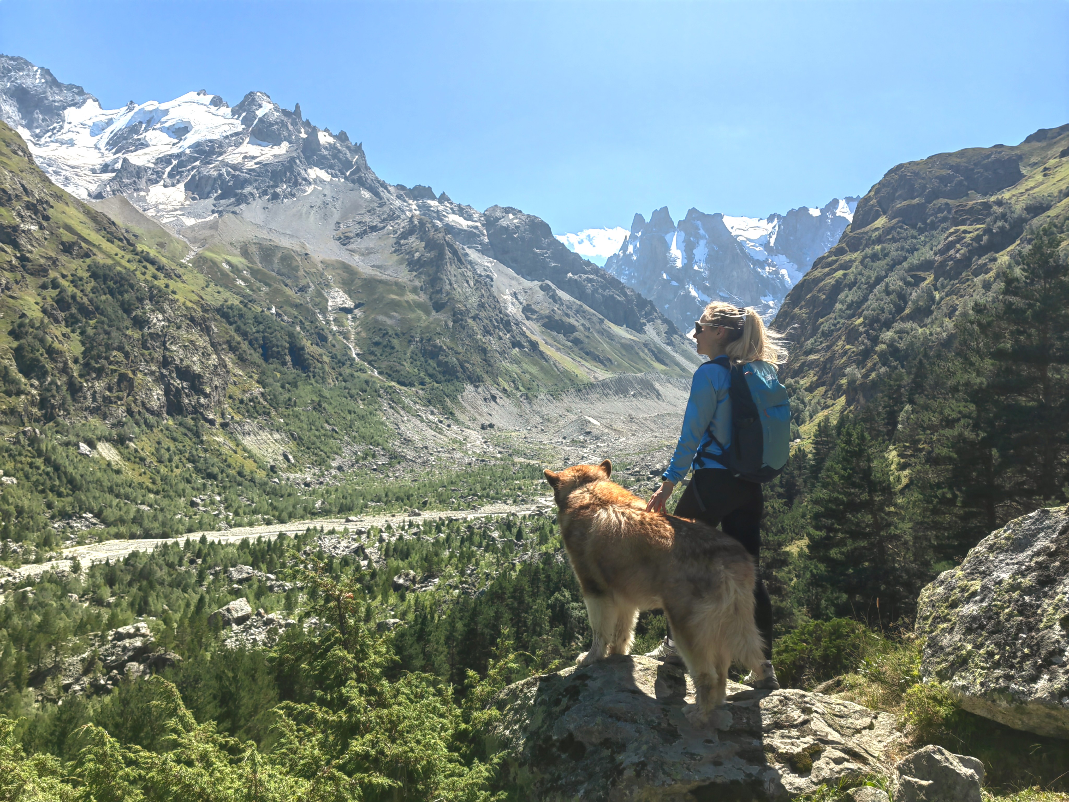 Нетипичное Приэльбрусье с аляскинским маламутом!