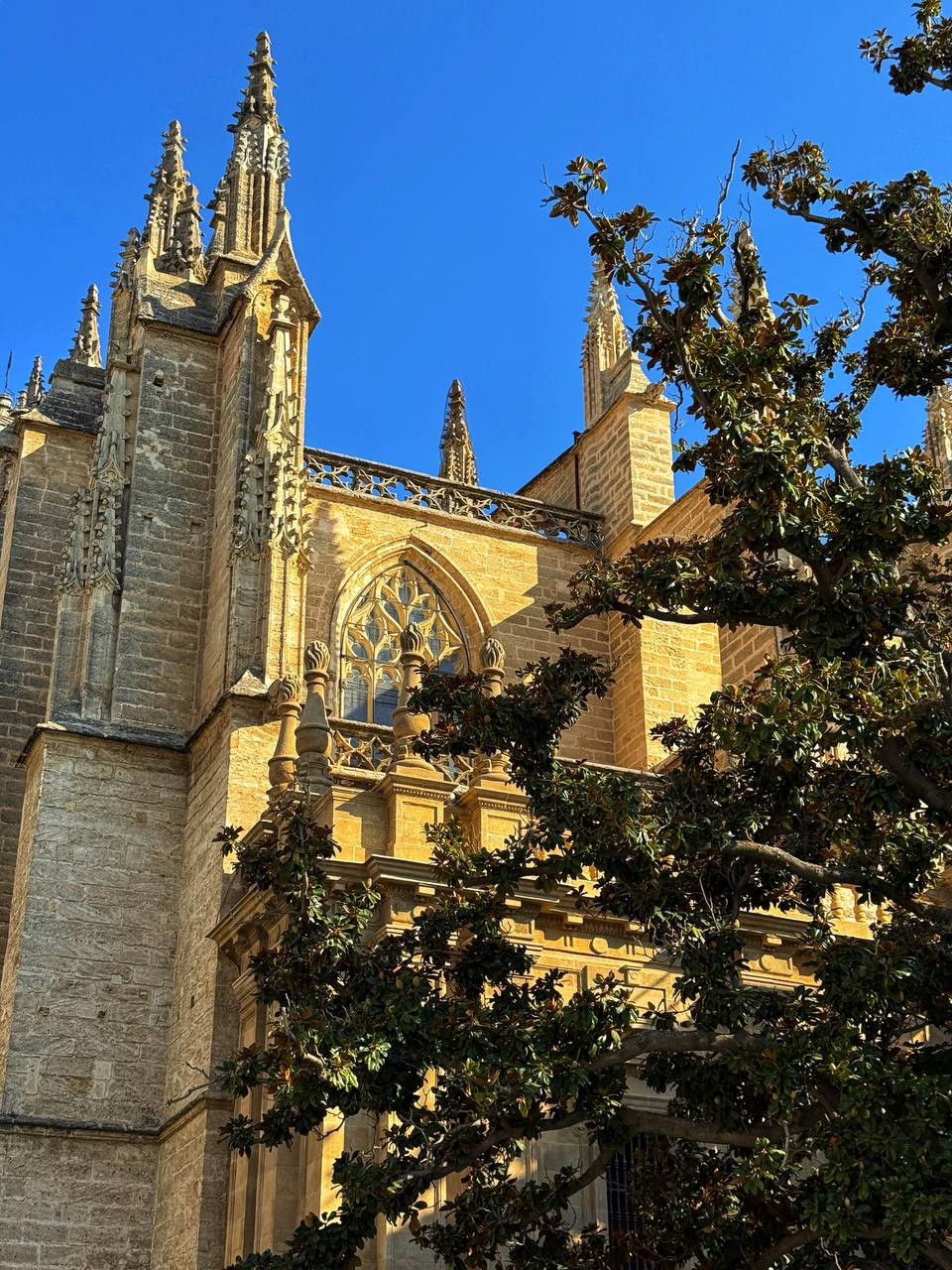 Южная Испания Vip: Два континента & полёт над Гибралтаром (48/128)