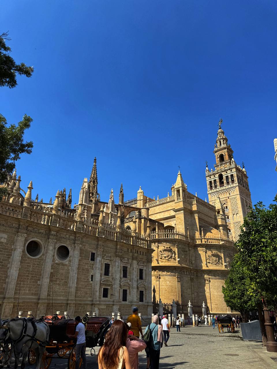 Южная Испания Vip: Два континента & полёт над Гибралтаром (32/128)