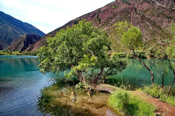 Топ 6 горных озер Киргизии за 8 дней 7 ночей (21/36)